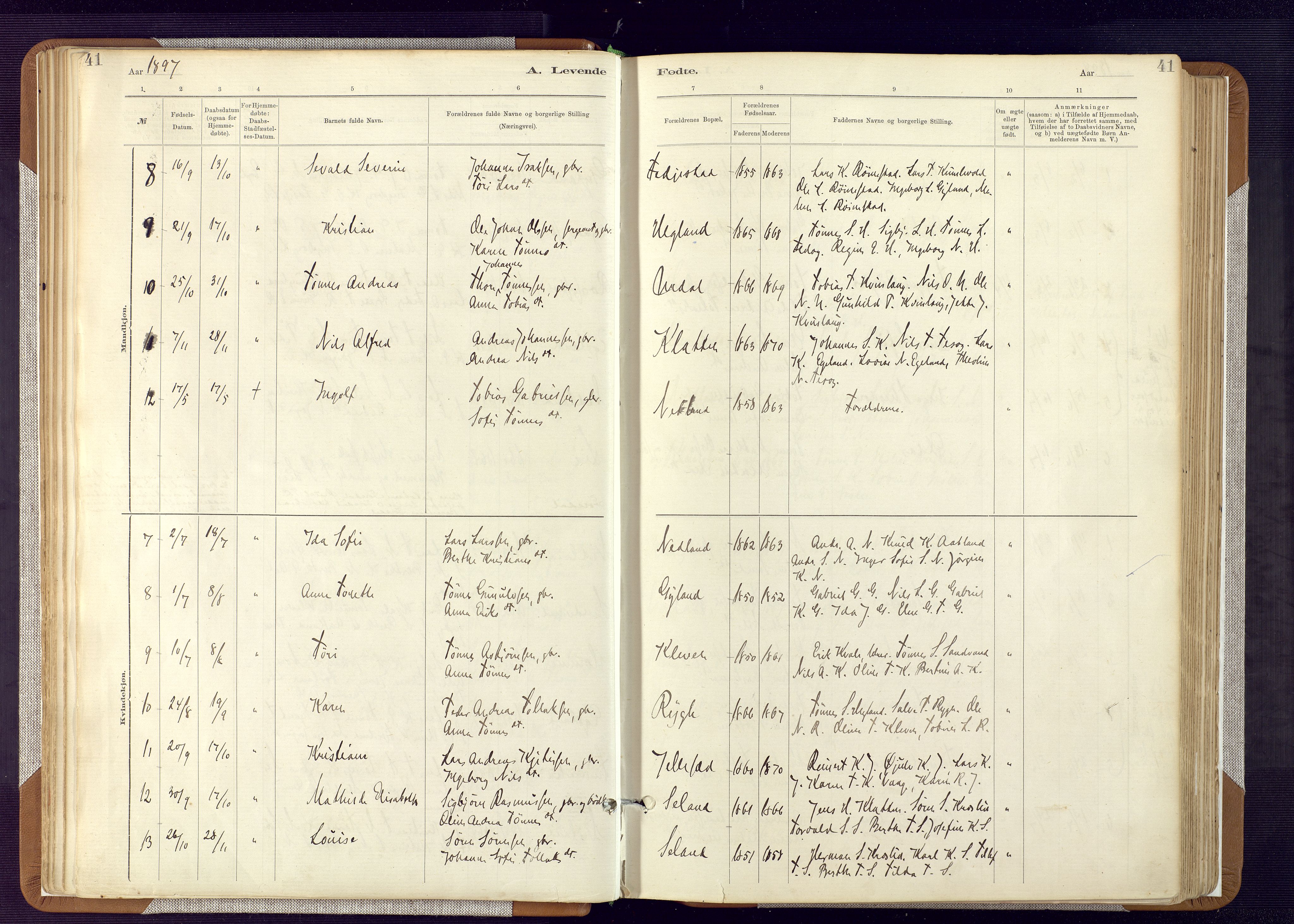 Bakke sokneprestkontor, AV/SAK-1111-0002/F/Fa/Fab/L0003: Parish register (official) no. A 3, 1884-1921, p. 41