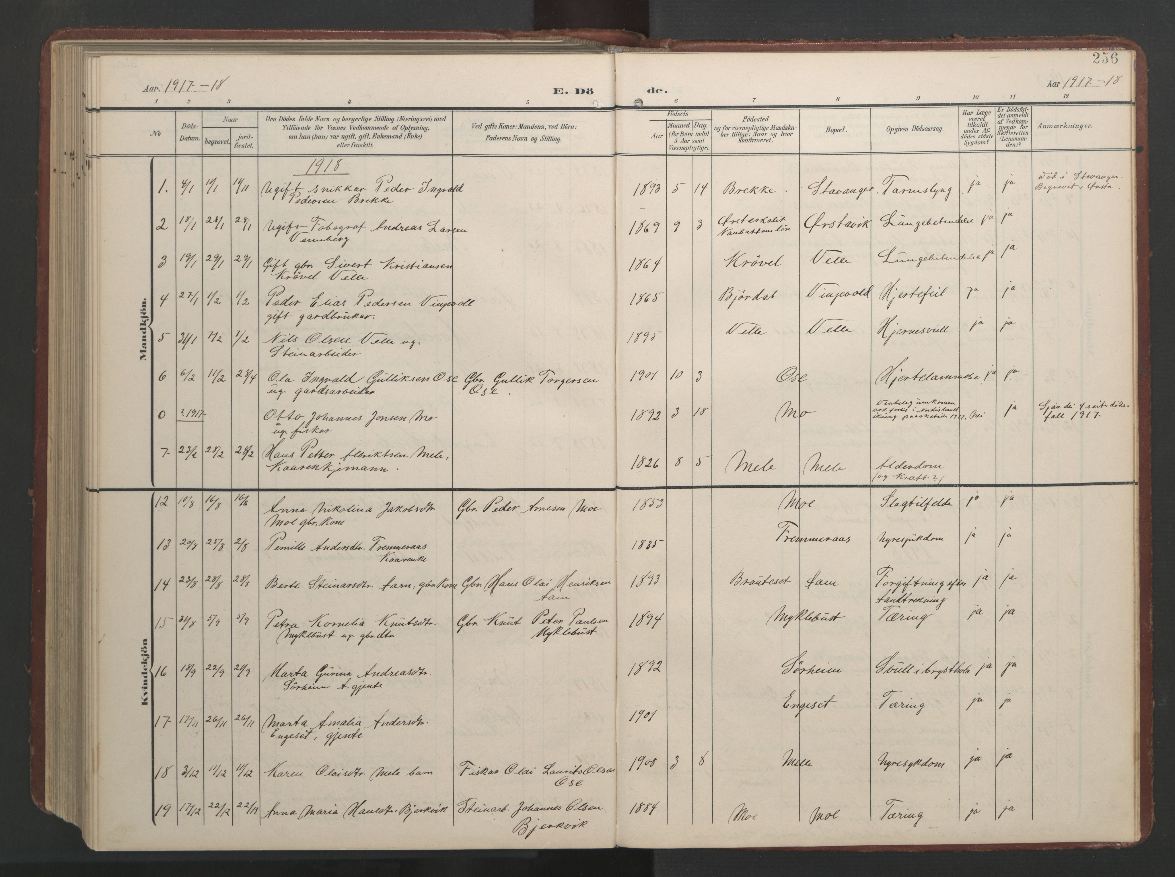 Ministerialprotokoller, klokkerbøker og fødselsregistre - Møre og Romsdal, AV/SAT-A-1454/513/L0190: Parish register (copy) no. 513C04, 1904-1926, p. 256