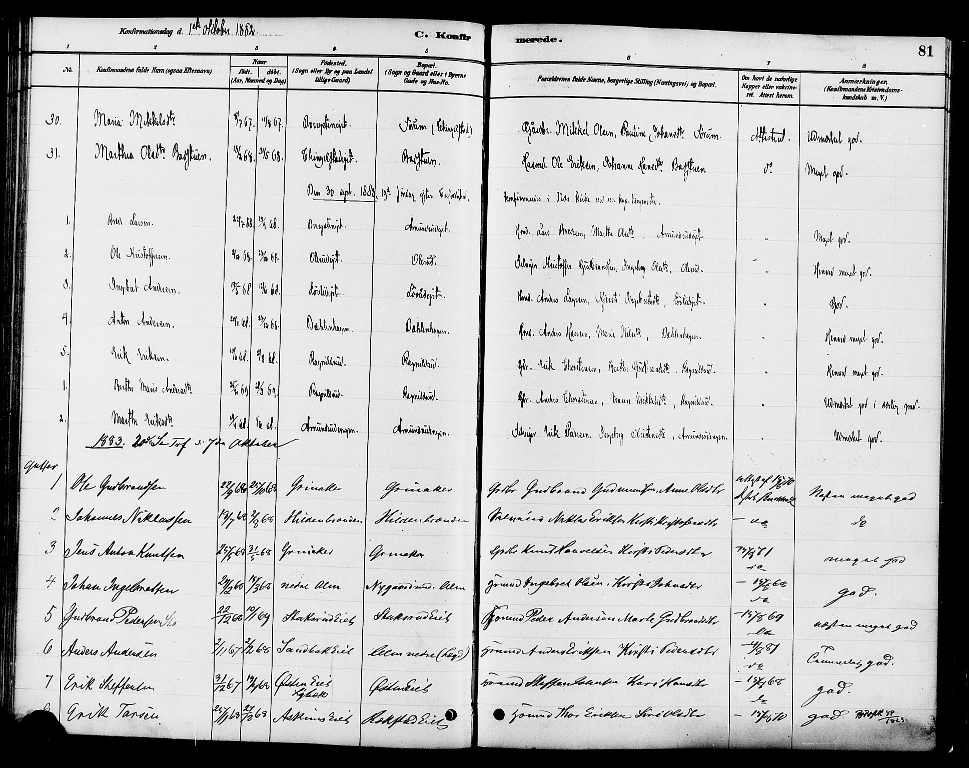 Gran prestekontor, SAH/PREST-112/H/Ha/Haa/L0016: Parish register (official) no. 16, 1880-1888, p. 81