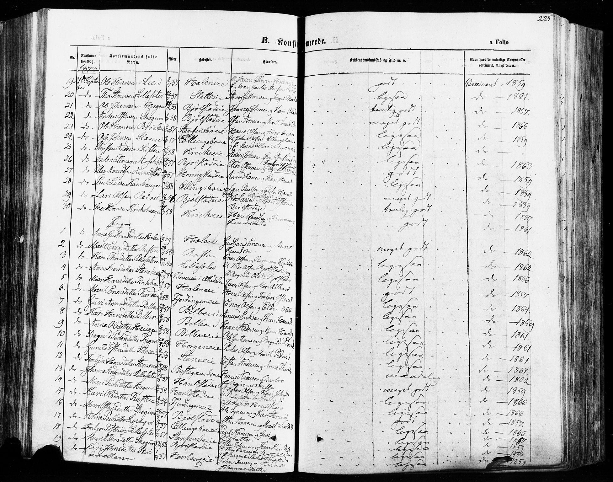 Vågå prestekontor, AV/SAH-PREST-076/H/Ha/Haa/L0007: Parish register (official) no. 7 /1, 1872-1886, p. 225