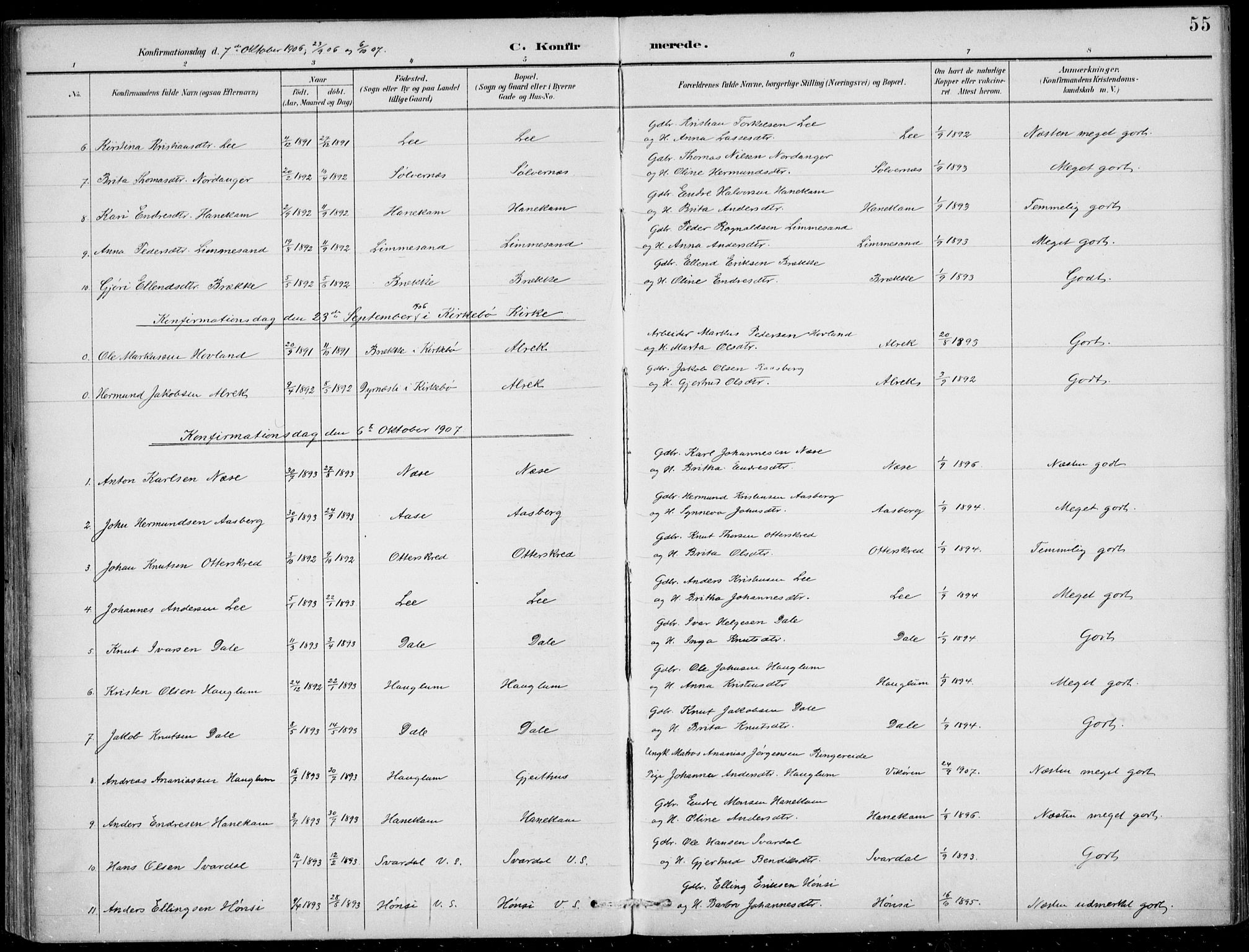 Vik sokneprestembete, AV/SAB-A-81501/H/Haa/Haac/L0002: Parish register (official) no. C  2, 1891-1910, p. 55