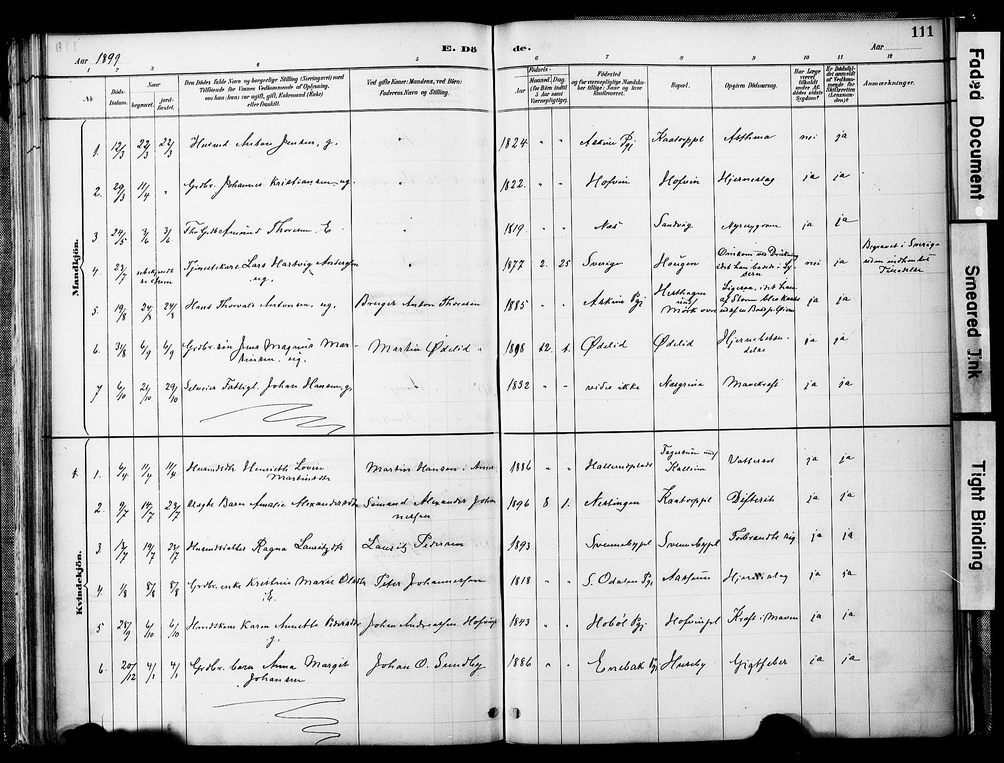 Spydeberg prestekontor Kirkebøker, SAO/A-10924/F/Fb/L0001: Parish register (official) no. II 1, 1886-1907, p. 111
