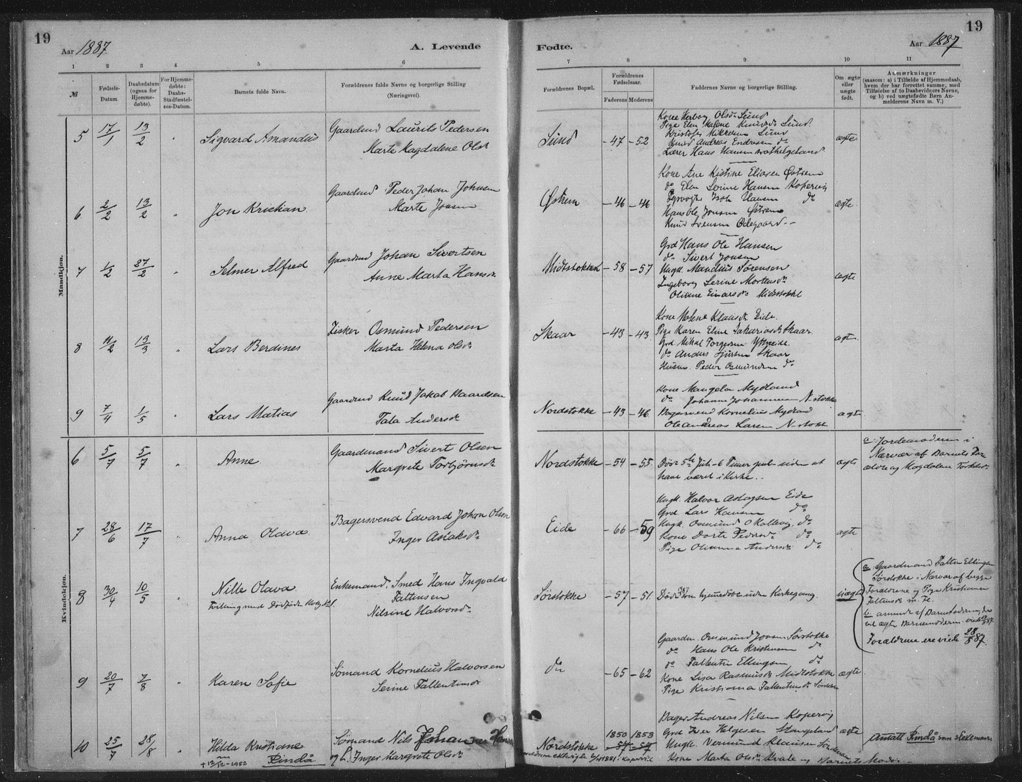 Kopervik sokneprestkontor, AV/SAST-A-101850/H/Ha/Haa/L0002: Parish register (official) no. A 2, 1880-1912, p. 19