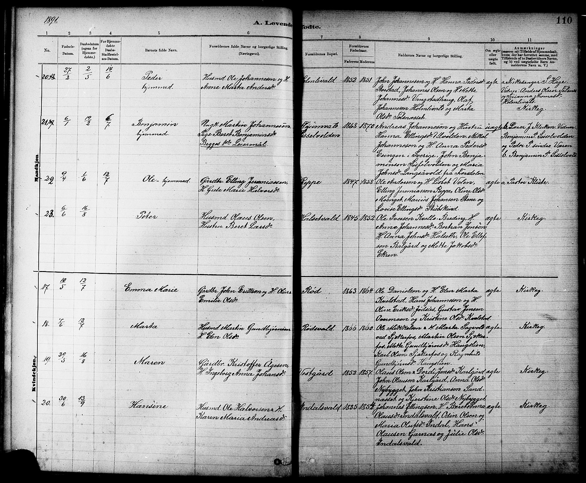 Ministerialprotokoller, klokkerbøker og fødselsregistre - Nord-Trøndelag, SAT/A-1458/724/L0267: Parish register (copy) no. 724C03, 1879-1898, p. 110