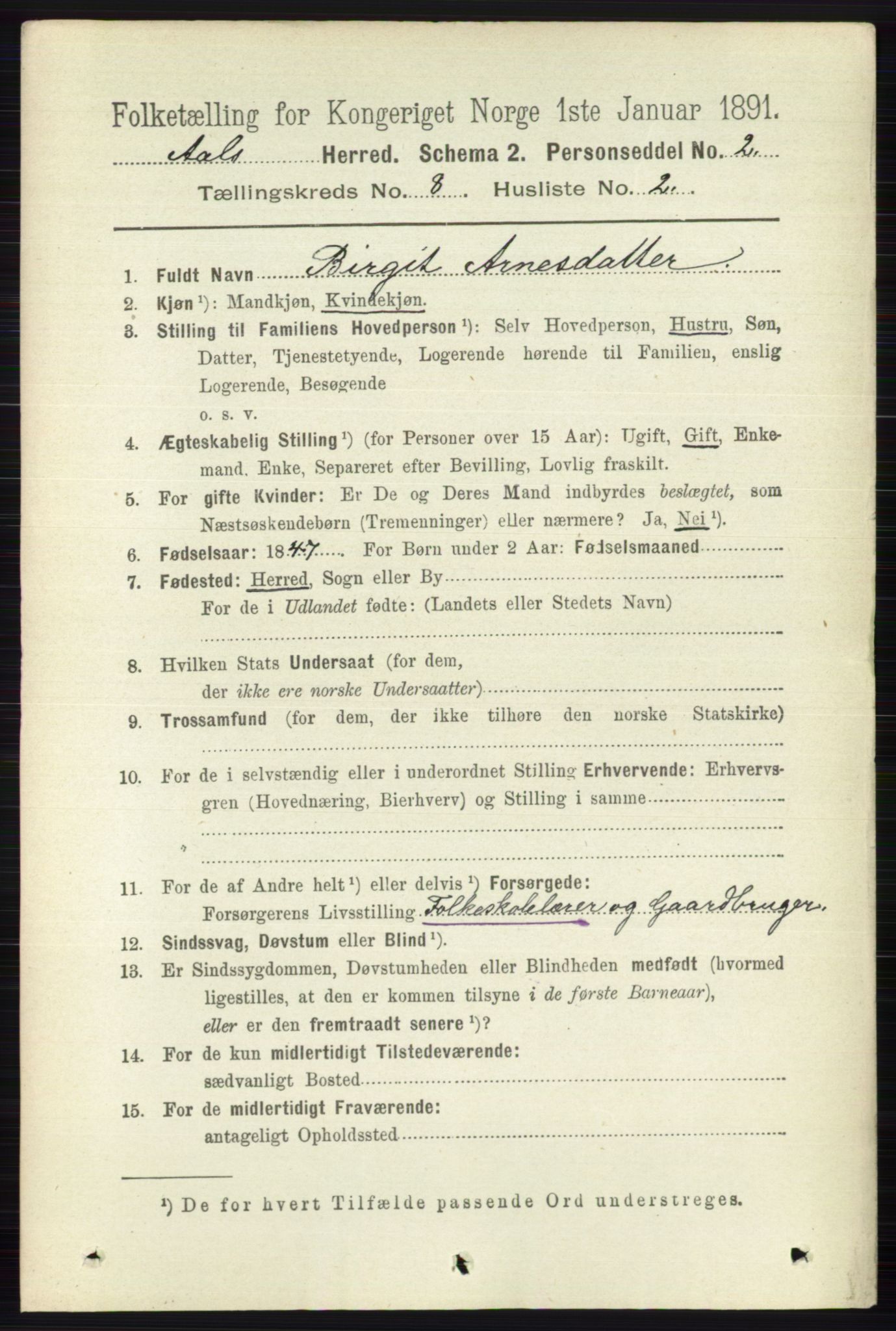 RA, 1891 census for 0619 Ål, 1891, p. 2100