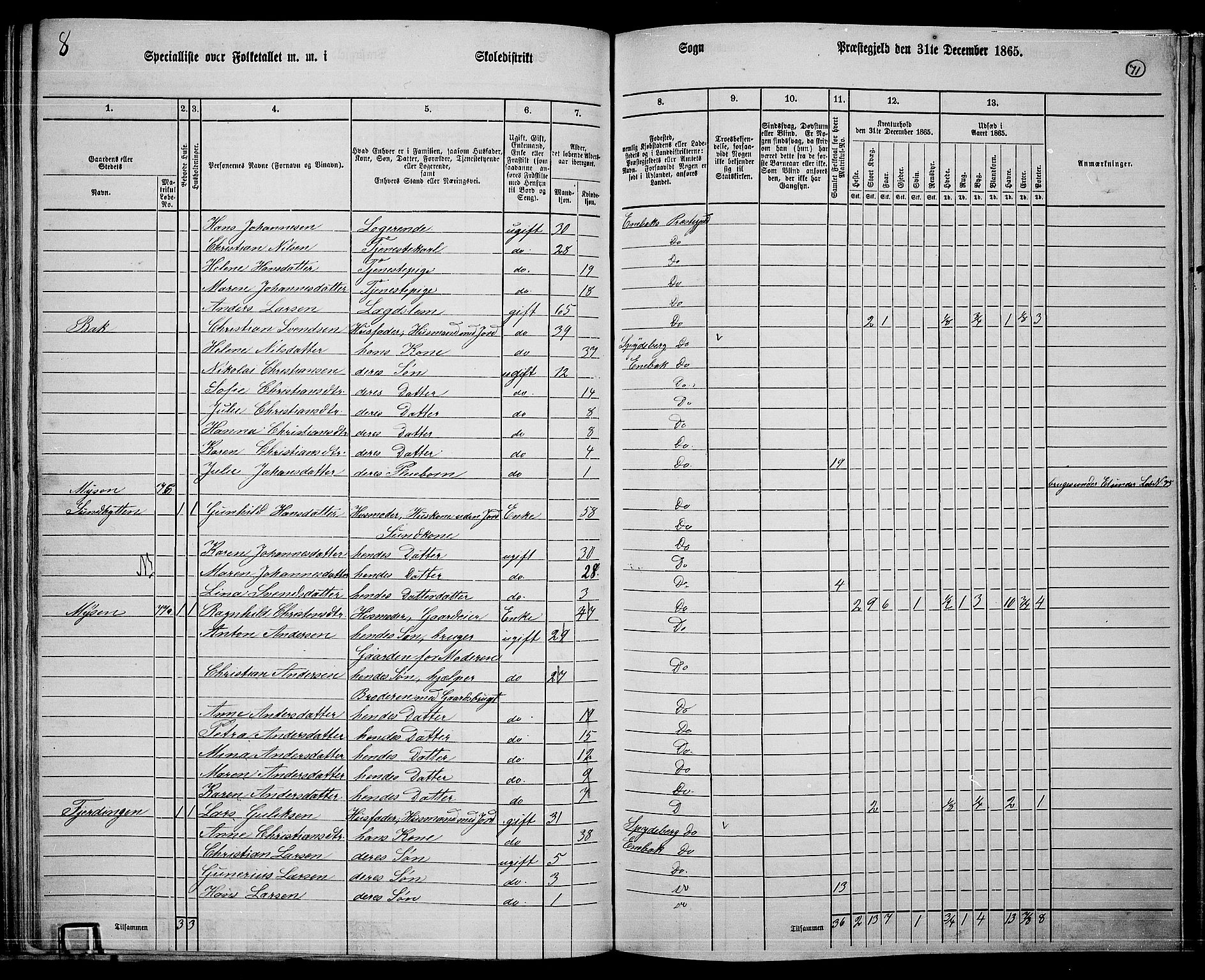 RA, 1865 census for Enebakk, 1865, p. 63