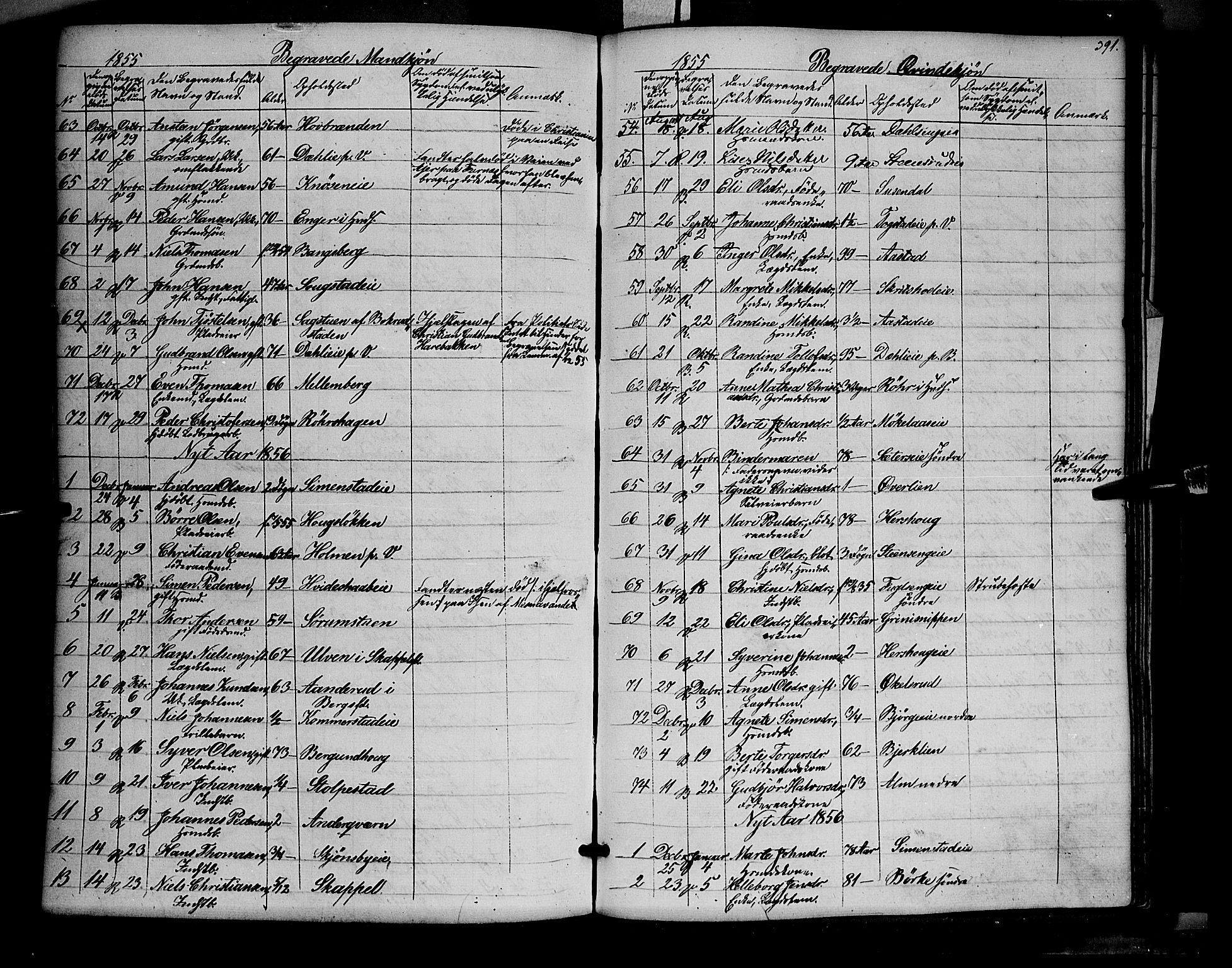 Ringsaker prestekontor, AV/SAH-PREST-014/K/Ka/L0009: Parish register (official) no. 9, 1850-1860, p. 391