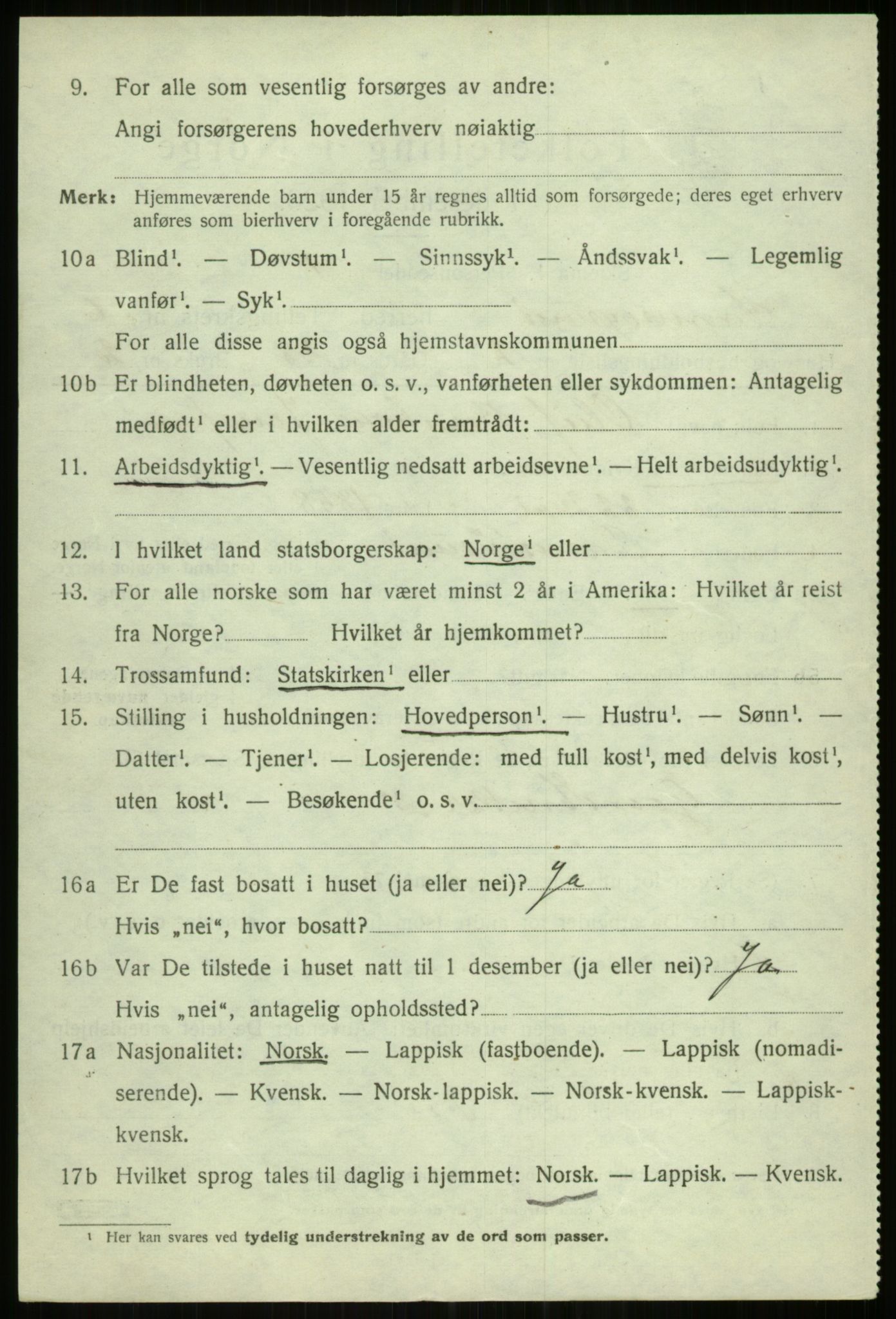 SATØ, 1920 census for Tromsøysund, 1920, p. 4999