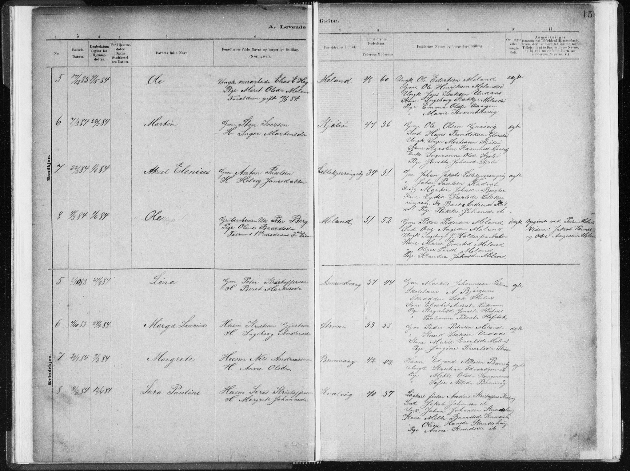 Ministerialprotokoller, klokkerbøker og fødselsregistre - Sør-Trøndelag, SAT/A-1456/634/L0533: Parish register (official) no. 634A09, 1882-1901, p. 15