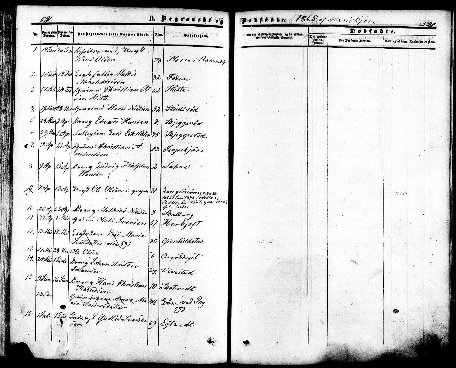 Ramnes kirkebøker, SAKO/A-314/F/Fa/L0006: Parish register (official) no. I 6, 1862-1877, p. 591-592