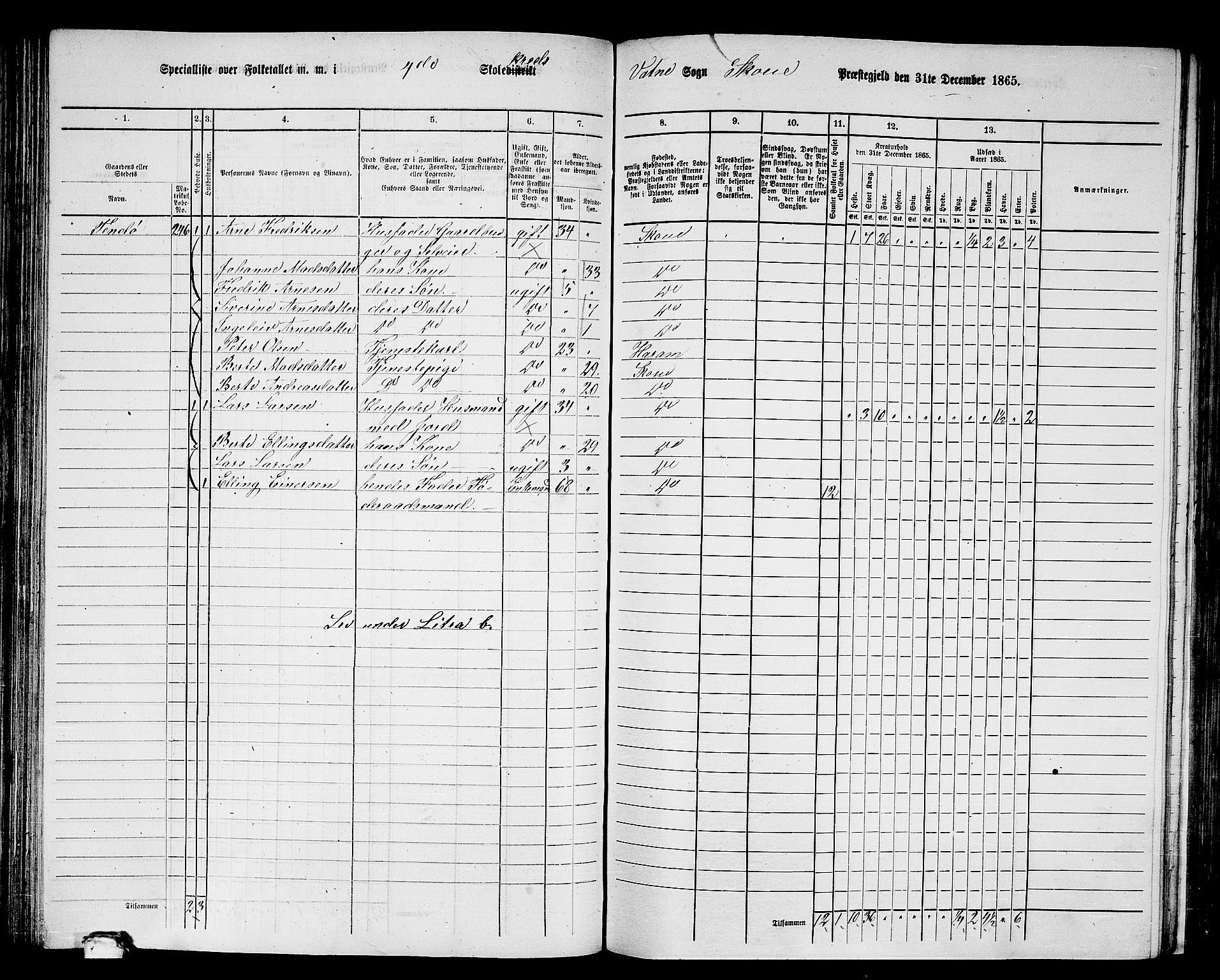 RA, 1865 census for Skodje, 1865, p. 89