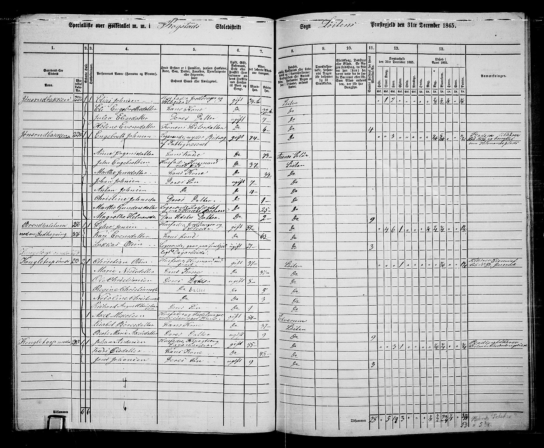 RA, 1865 census for Løten, 1865, p. 160