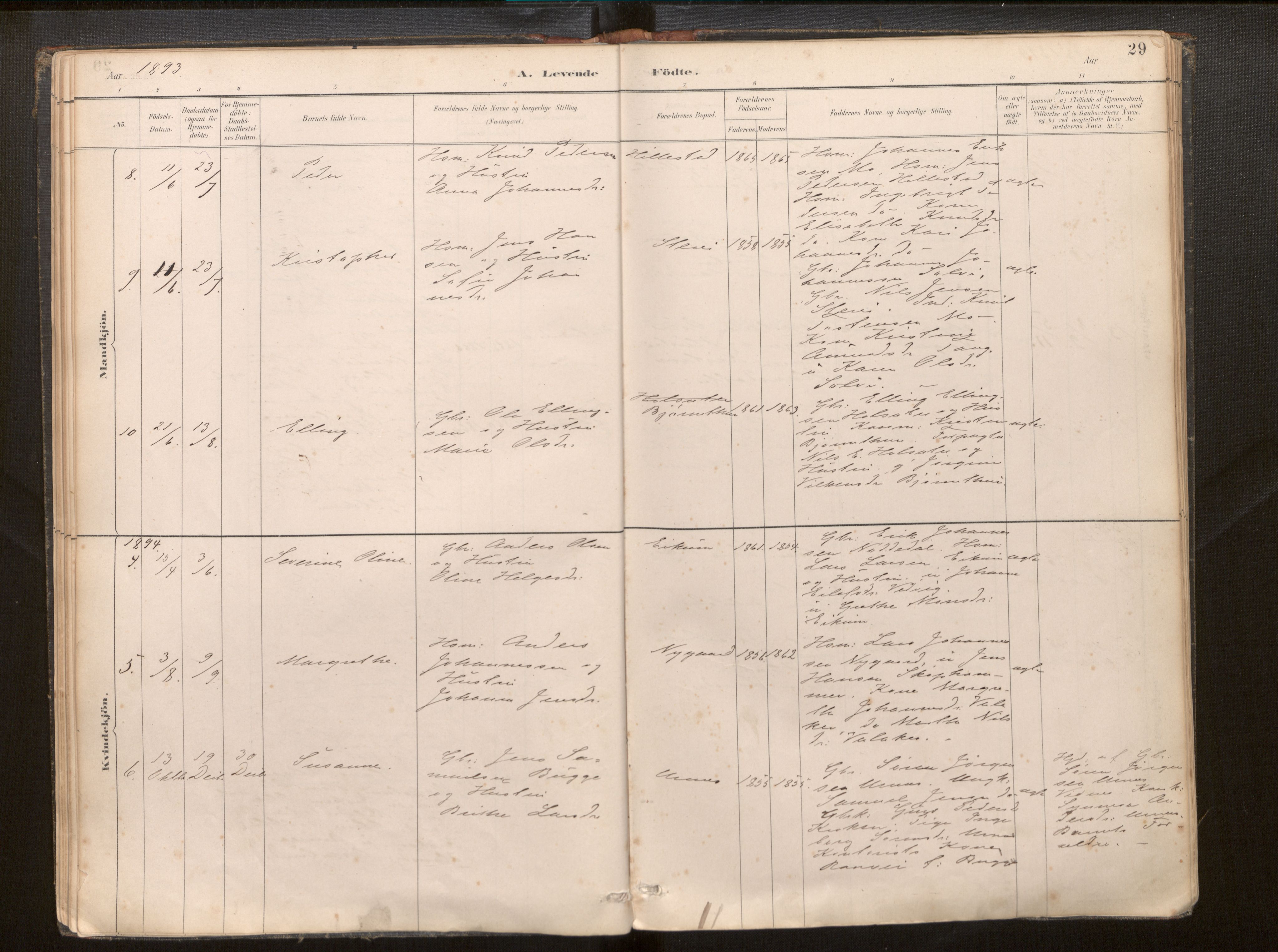 Hafslo sokneprestembete, SAB/A-80301/H/Haa/Haac/L0001: Parish register (official) no. C 1, 1886-1944, p. 29