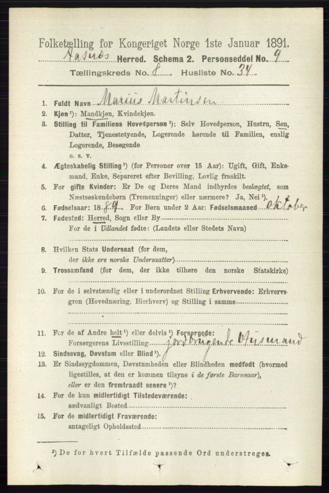 RA, 1891 census for 0425 Åsnes, 1891, p. 4406