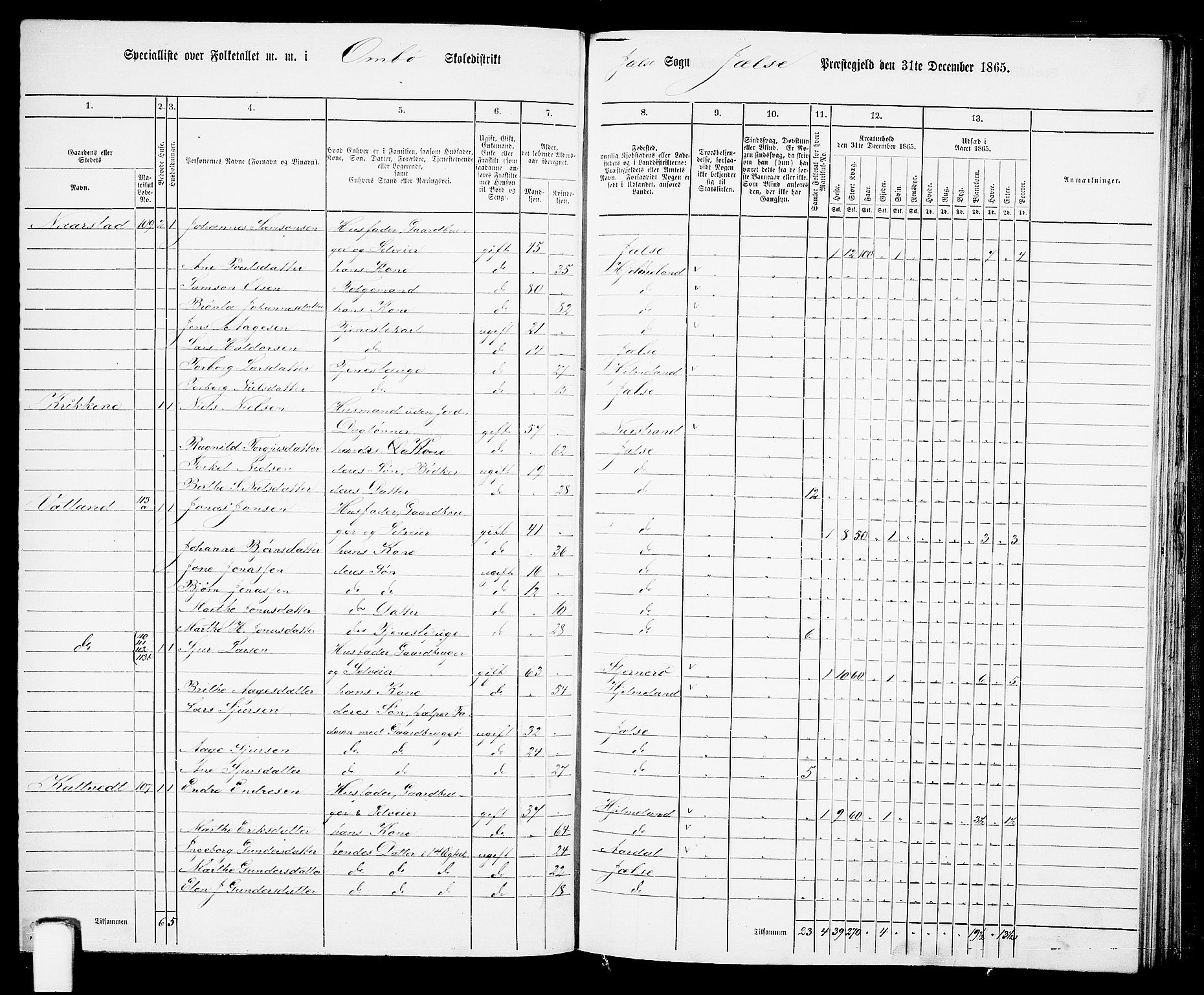 RA, 1865 census for Jelsa, 1865, p. 64