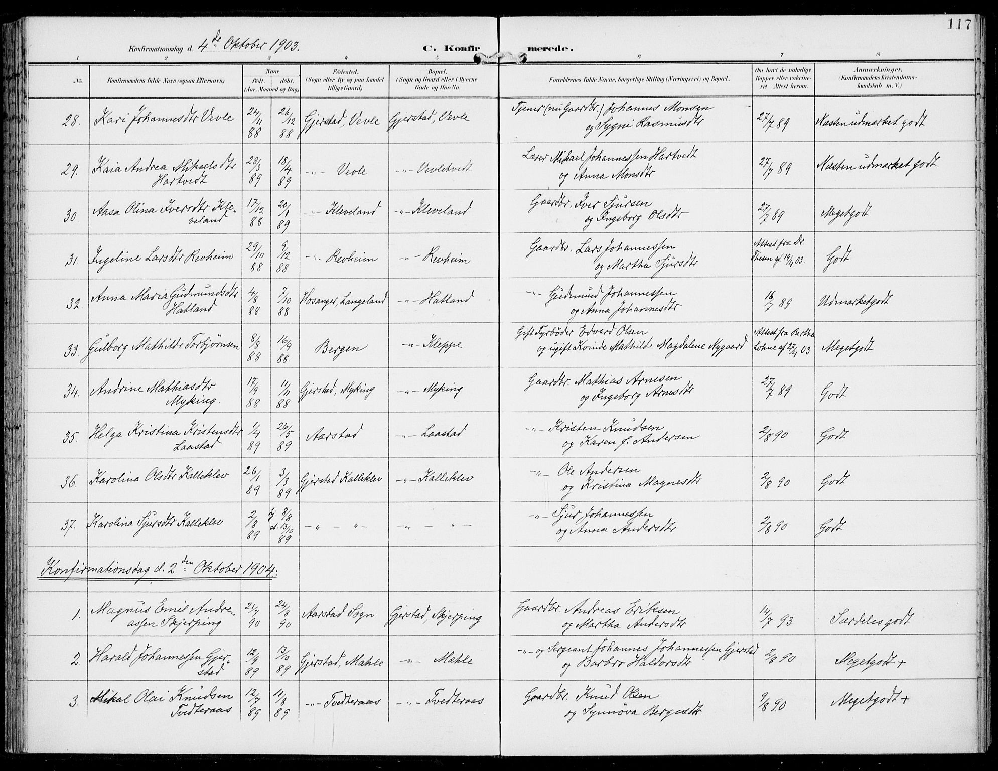 Haus sokneprestembete, AV/SAB-A-75601/H/Haa: Parish register (official) no. C  2, 1900-1915, p. 117