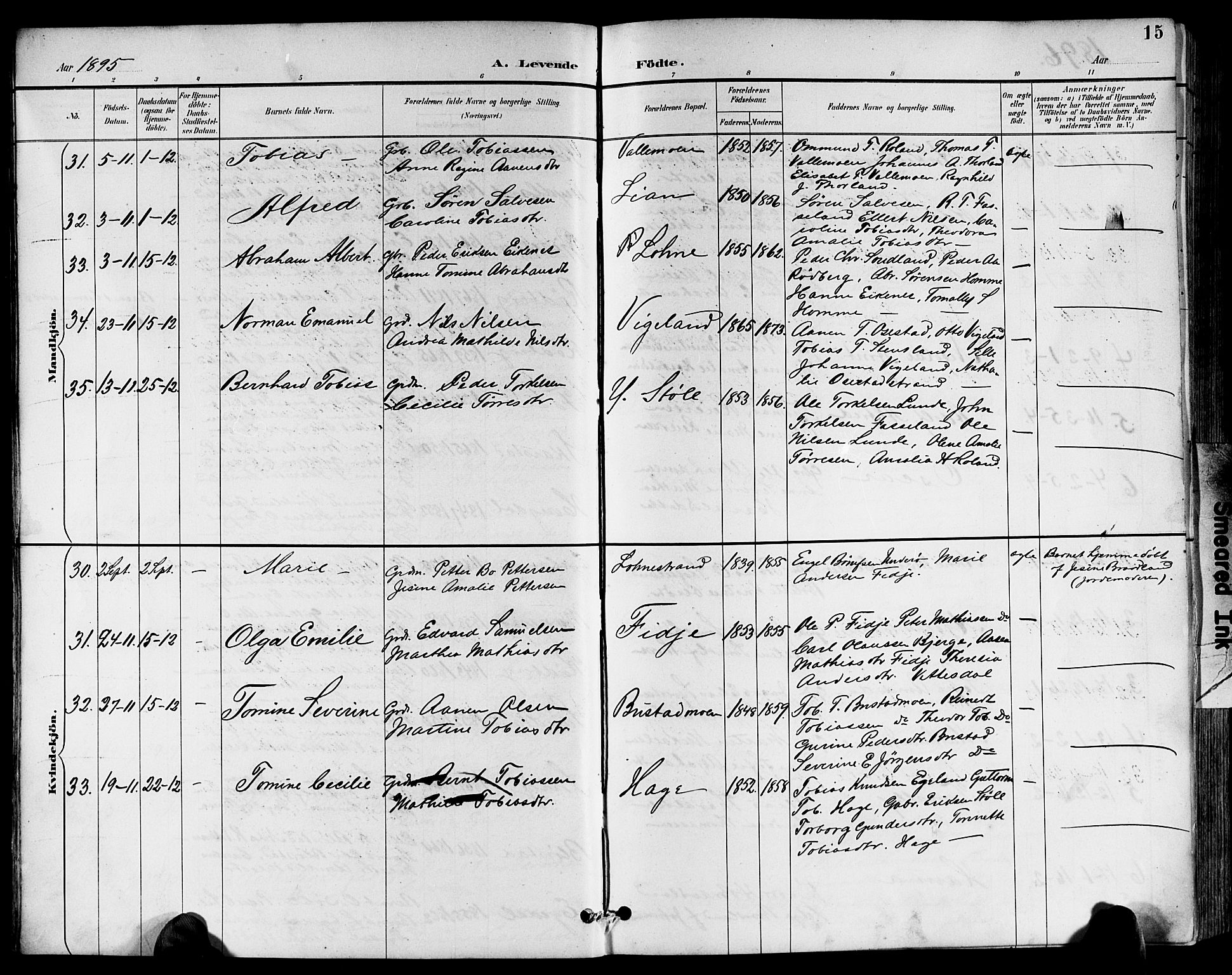 Sør-Audnedal sokneprestkontor, AV/SAK-1111-0039/F/Fb/Fbb/L0006: Parish register (copy) no. B 6, 1893-1915, p. 15