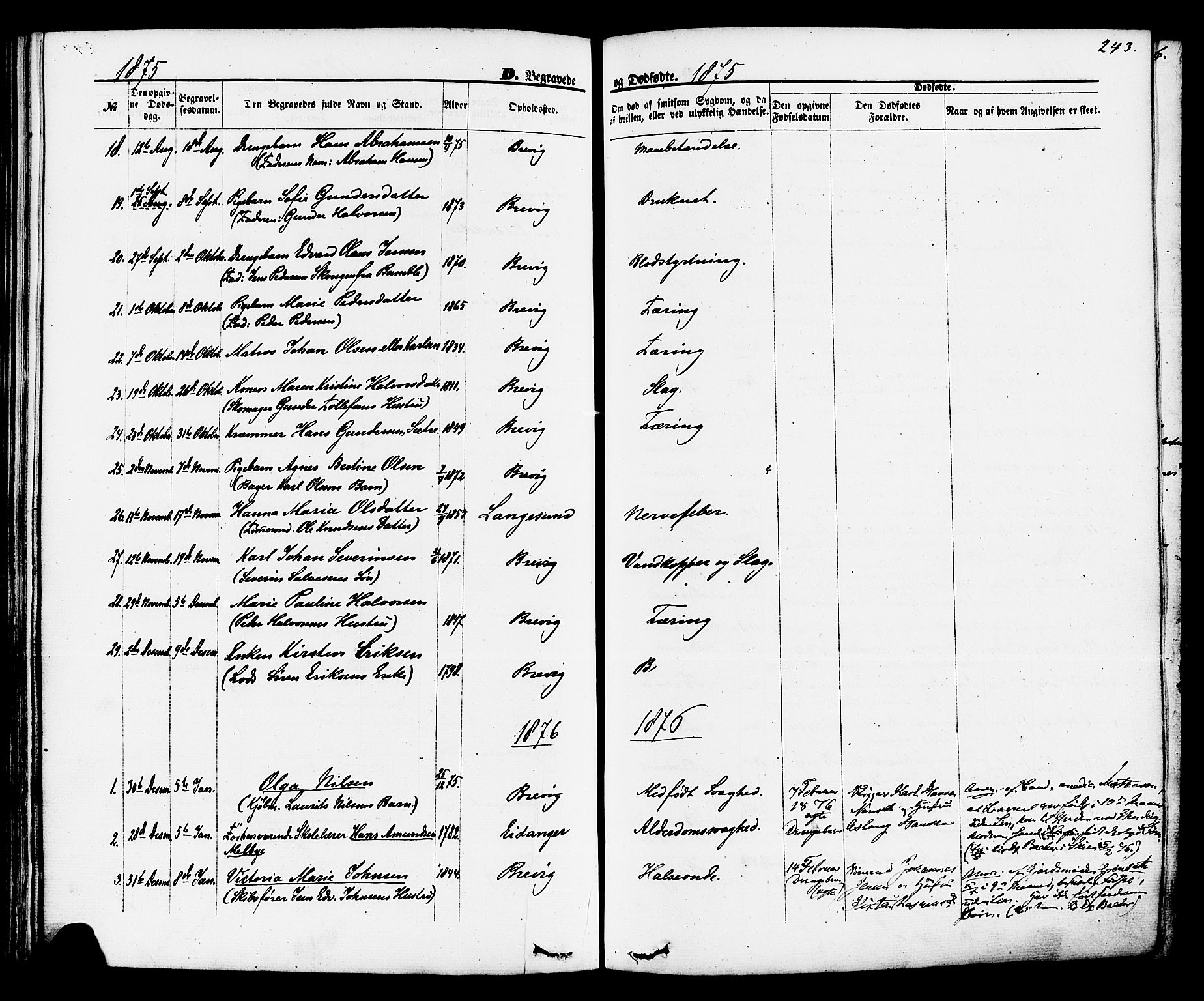 Brevik kirkebøker, SAKO/A-255/F/Fa/L0006: Parish register (official) no. 6, 1866-1881, p. 243