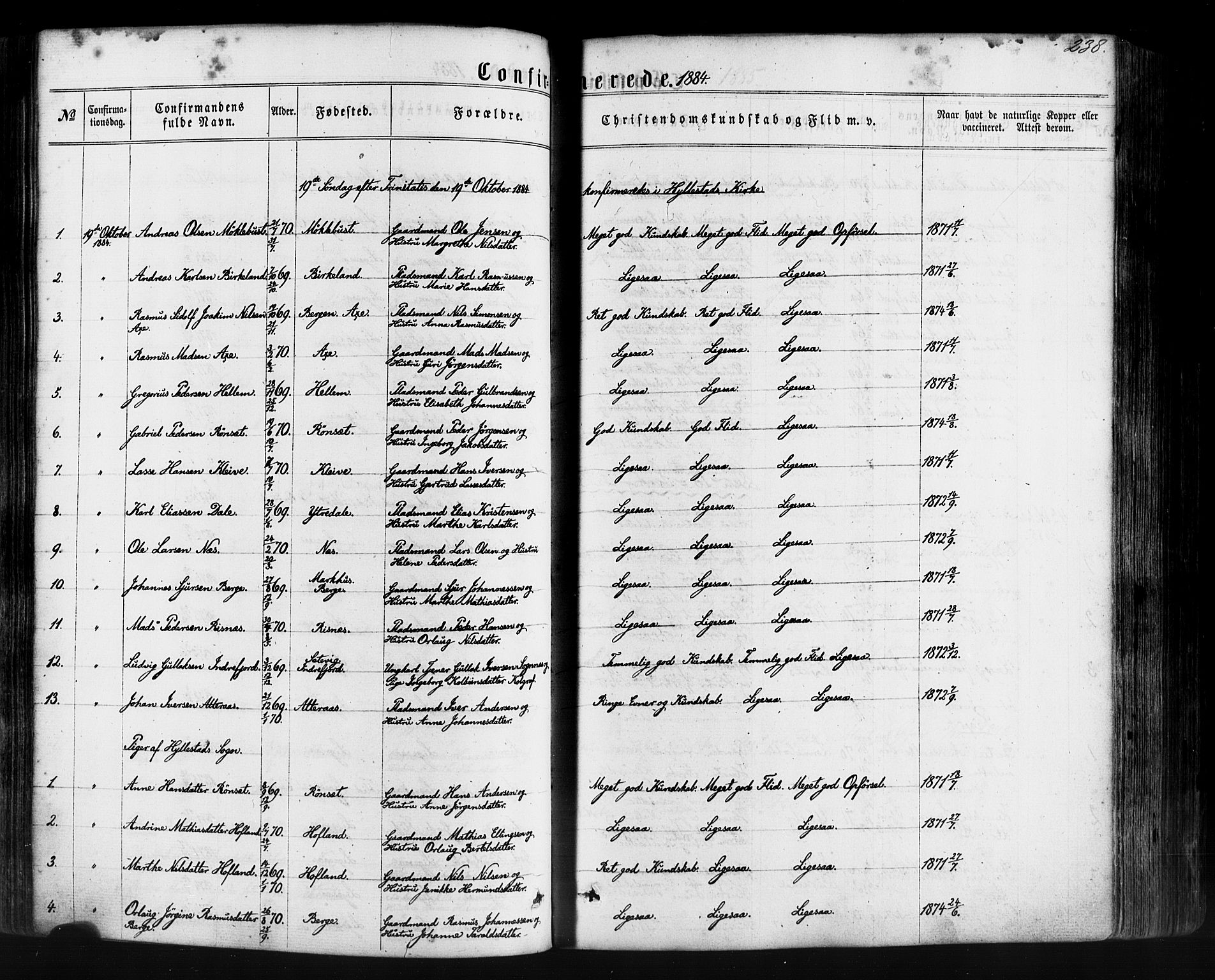 Hyllestad sokneprestembete, SAB/A-80401: Parish register (official) no. A 1, 1861-1886, p. 238