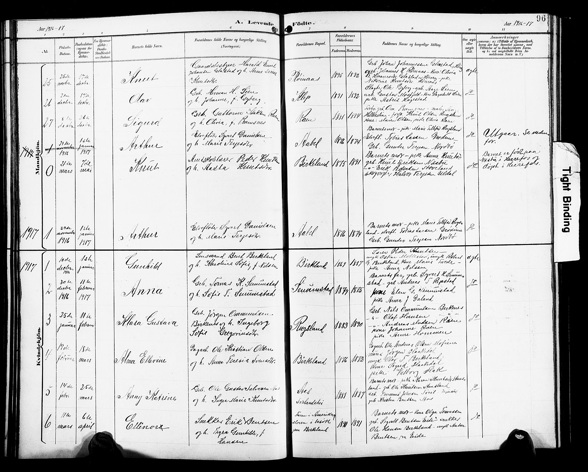 Birkenes sokneprestkontor, SAK/1111-0004/F/Fb/L0004: Parish register (copy) no. B 4, 1893-1930, p. 96