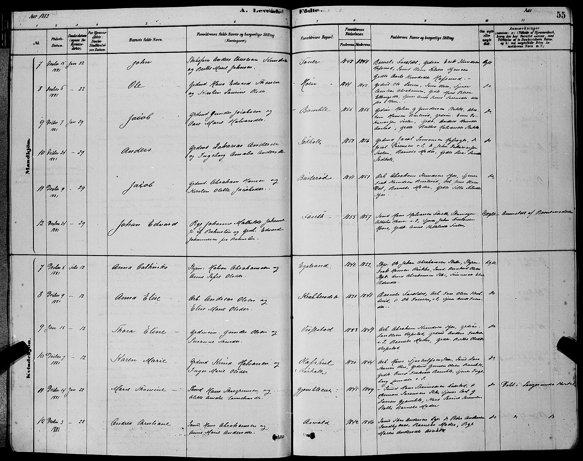 Bamble kirkebøker, SAKO/A-253/G/Ga/L0008: Parish register (copy) no. I 8, 1878-1888, p. 55