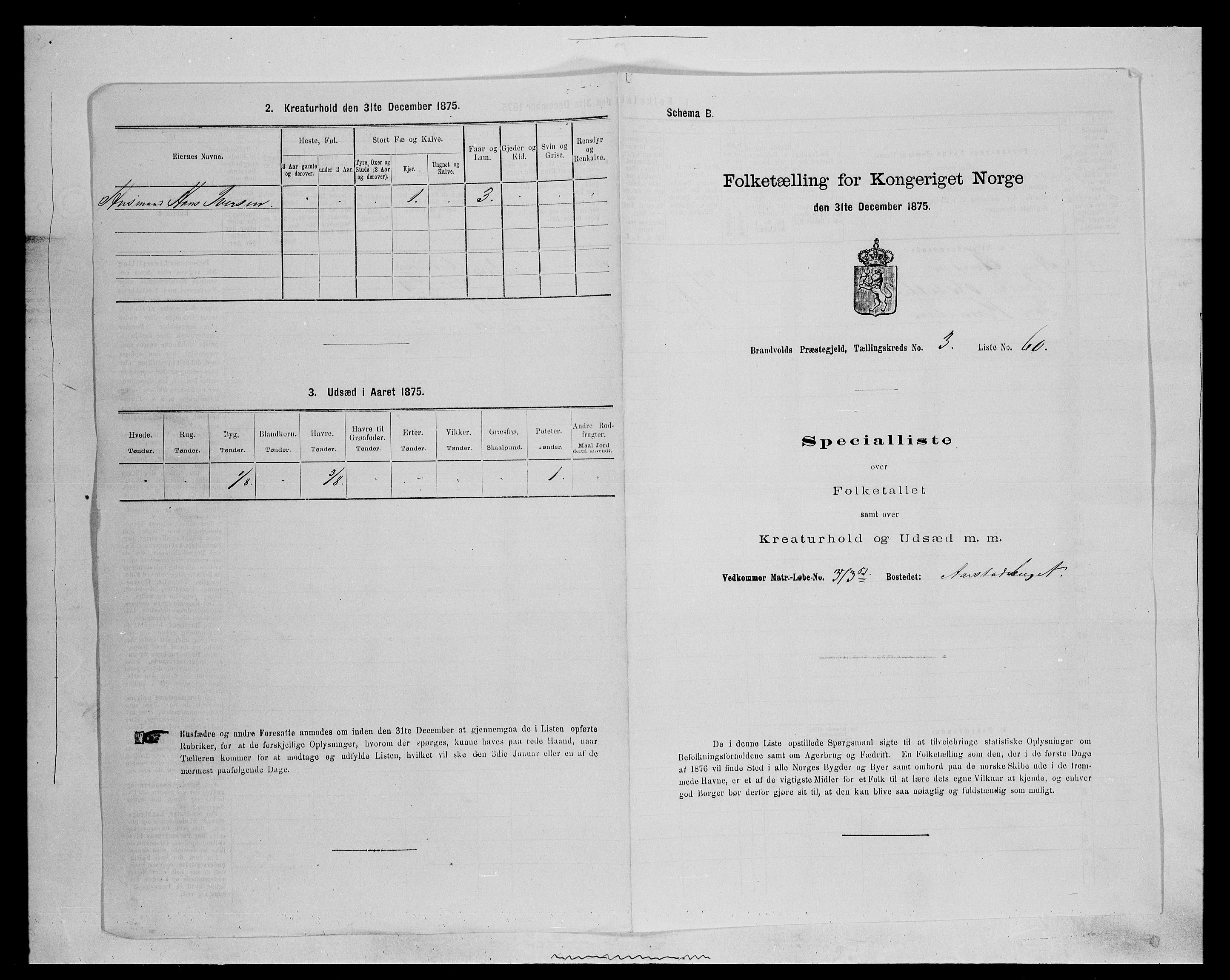 SAH, 1875 census for 0422P Brandval, 1875, p. 530