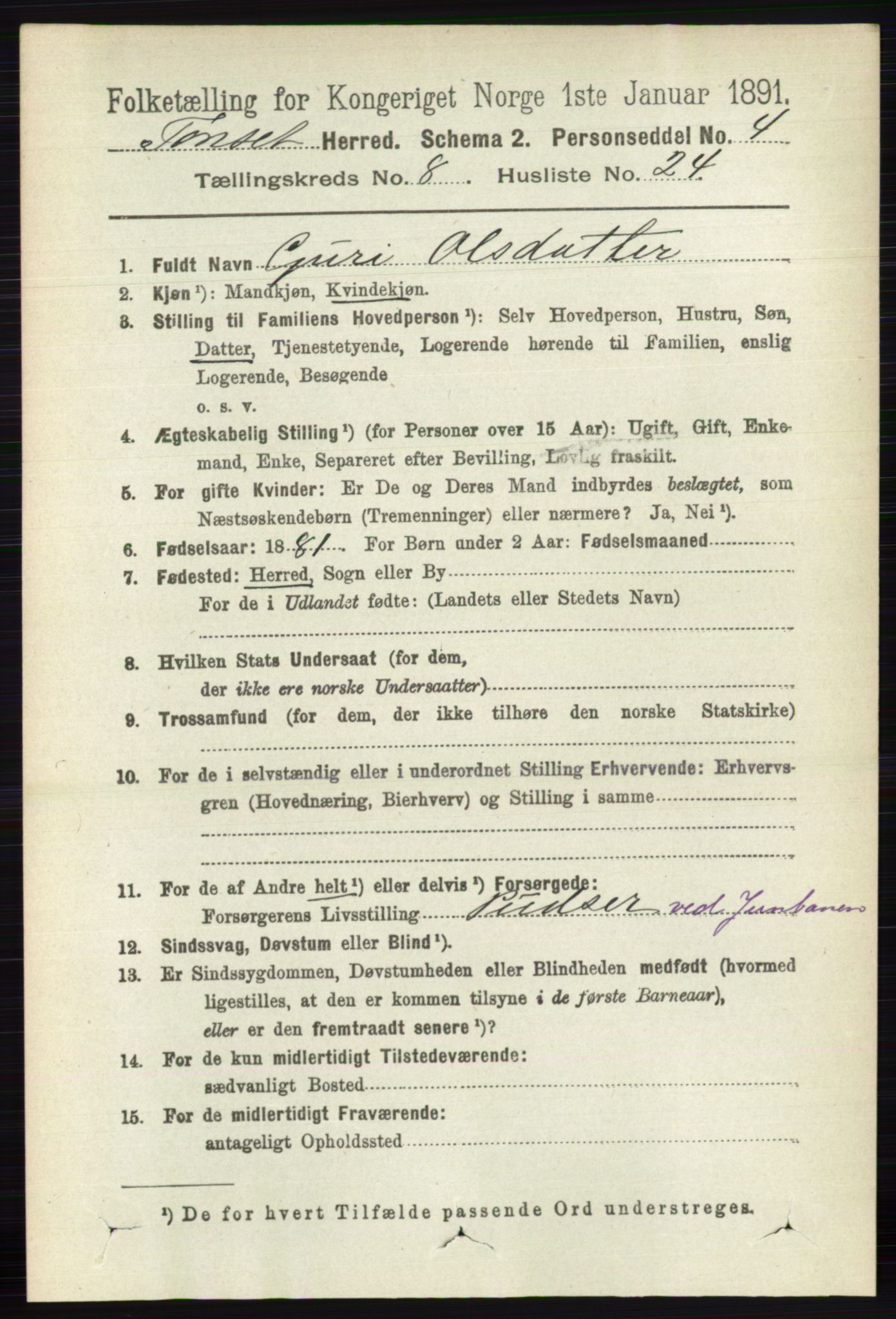 RA, 1891 census for 0437 Tynset, 1891, p. 2223