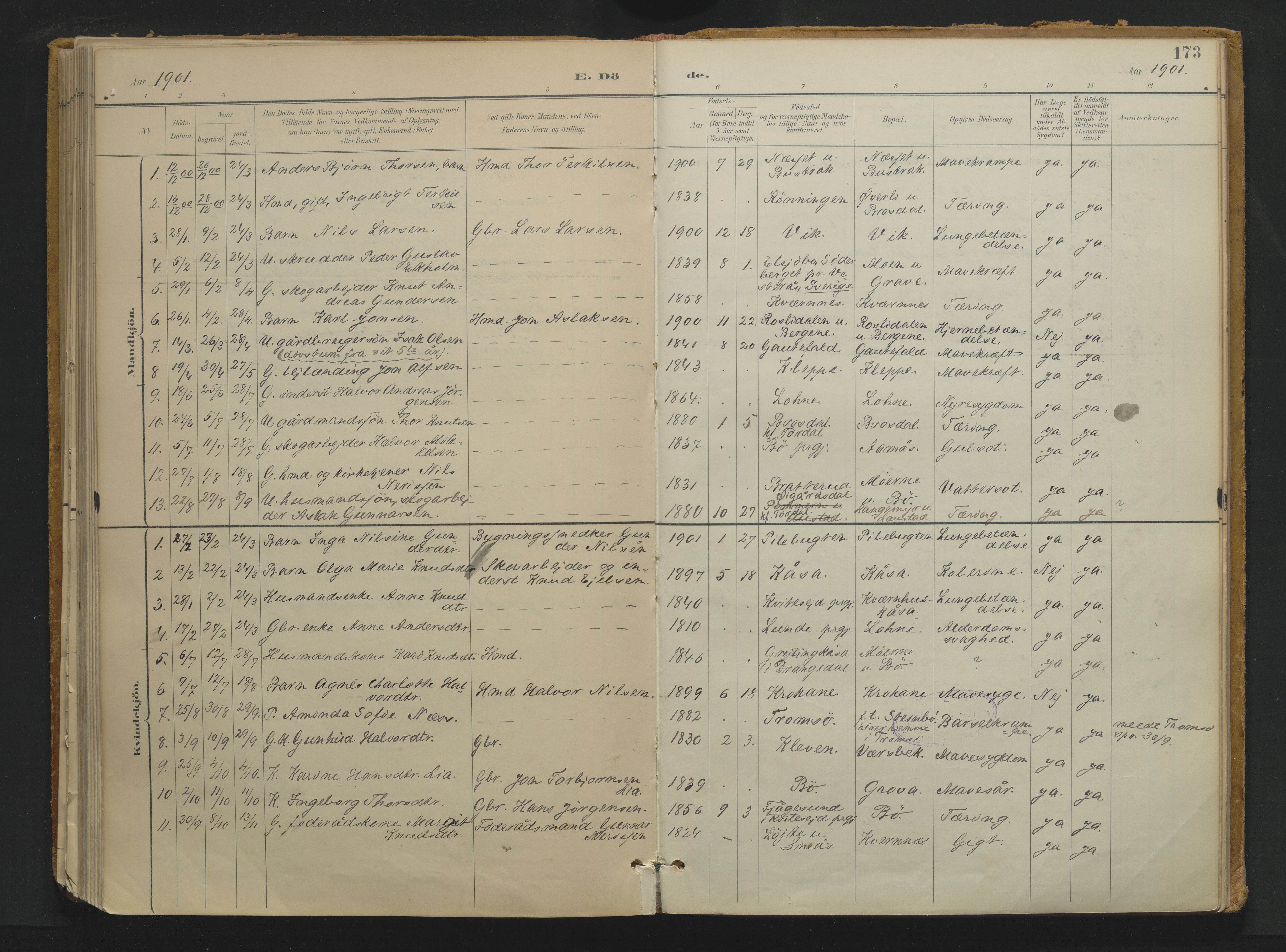Drangedal kirkebøker, SAKO/A-258/F/Fa/L0013: Parish register (official) no. 13, 1895-1919, p. 173