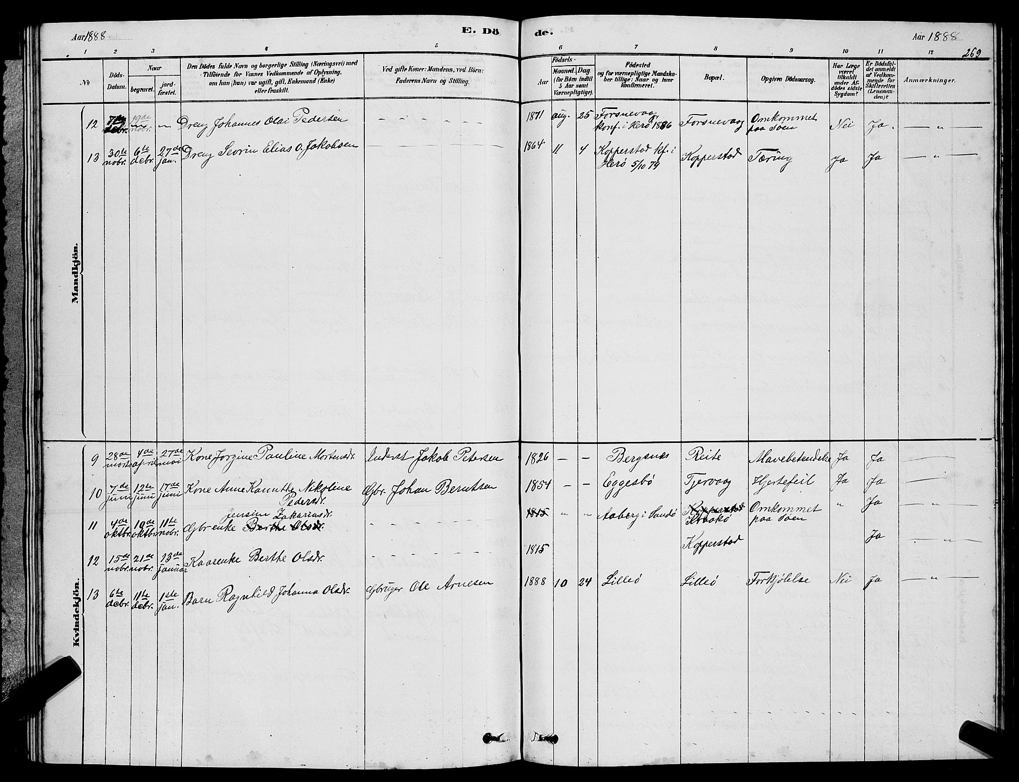 Ministerialprotokoller, klokkerbøker og fødselsregistre - Møre og Romsdal, AV/SAT-A-1454/507/L0081: Parish register (copy) no. 507C04, 1878-1898, p. 269