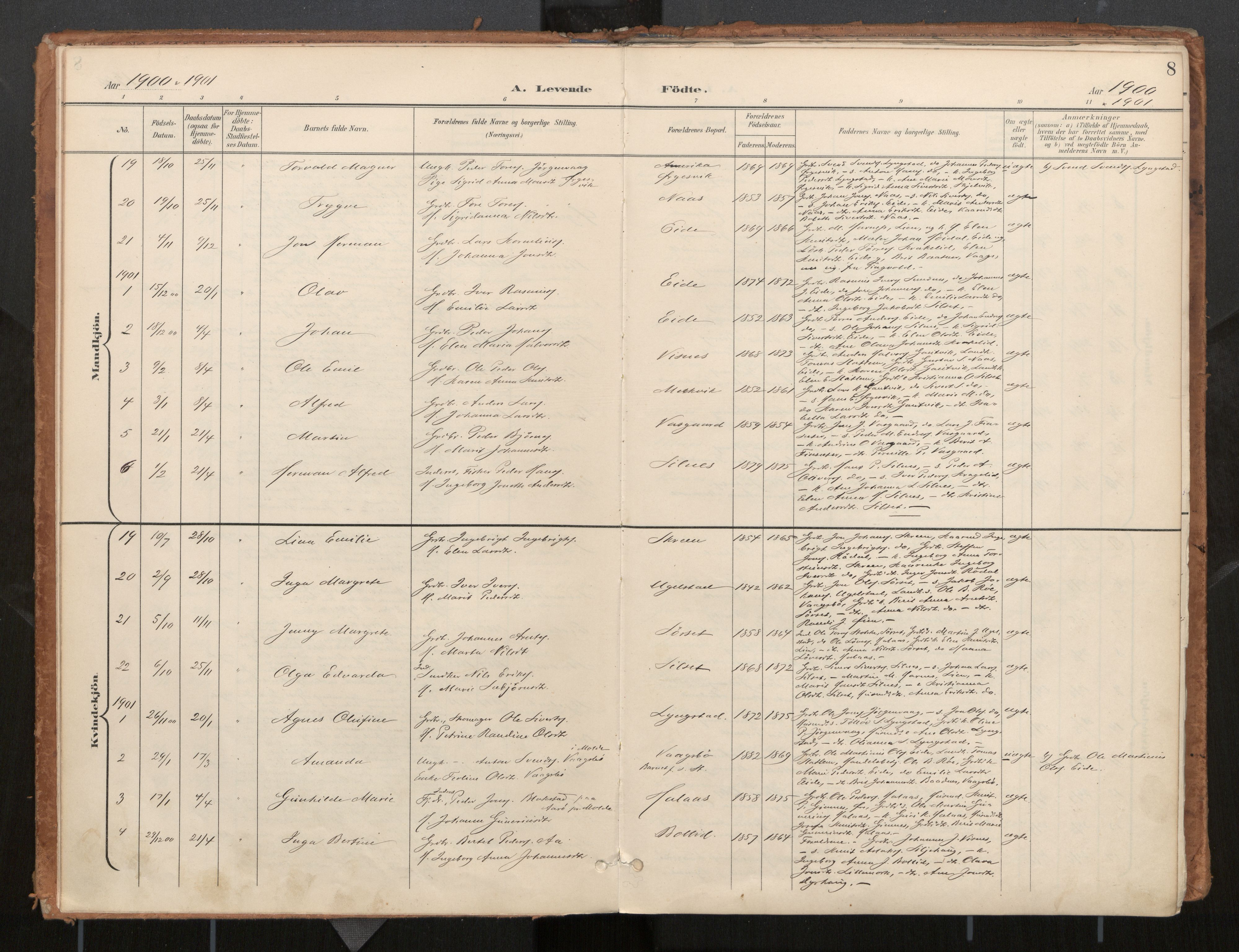 Ministerialprotokoller, klokkerbøker og fødselsregistre - Møre og Romsdal, SAT/A-1454/571/L0836a: Parish register (official) no. 571A02, 1898-1910, p. 8
