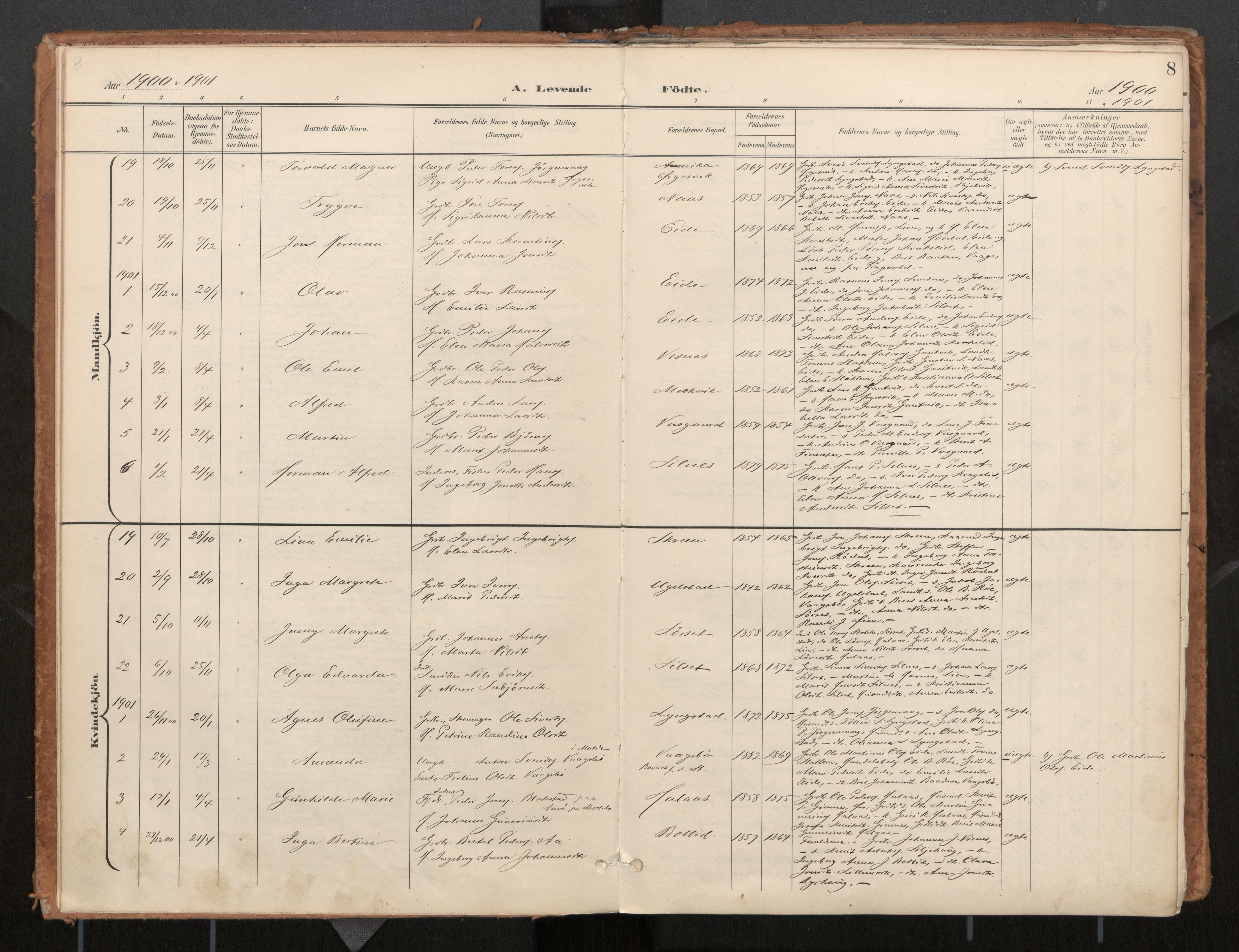 Ministerialprotokoller, klokkerbøker og fødselsregistre - Møre og Romsdal, AV/SAT-A-1454/571/L0836a: Parish register (official) no. 571A02, 1898-1910, p. 8