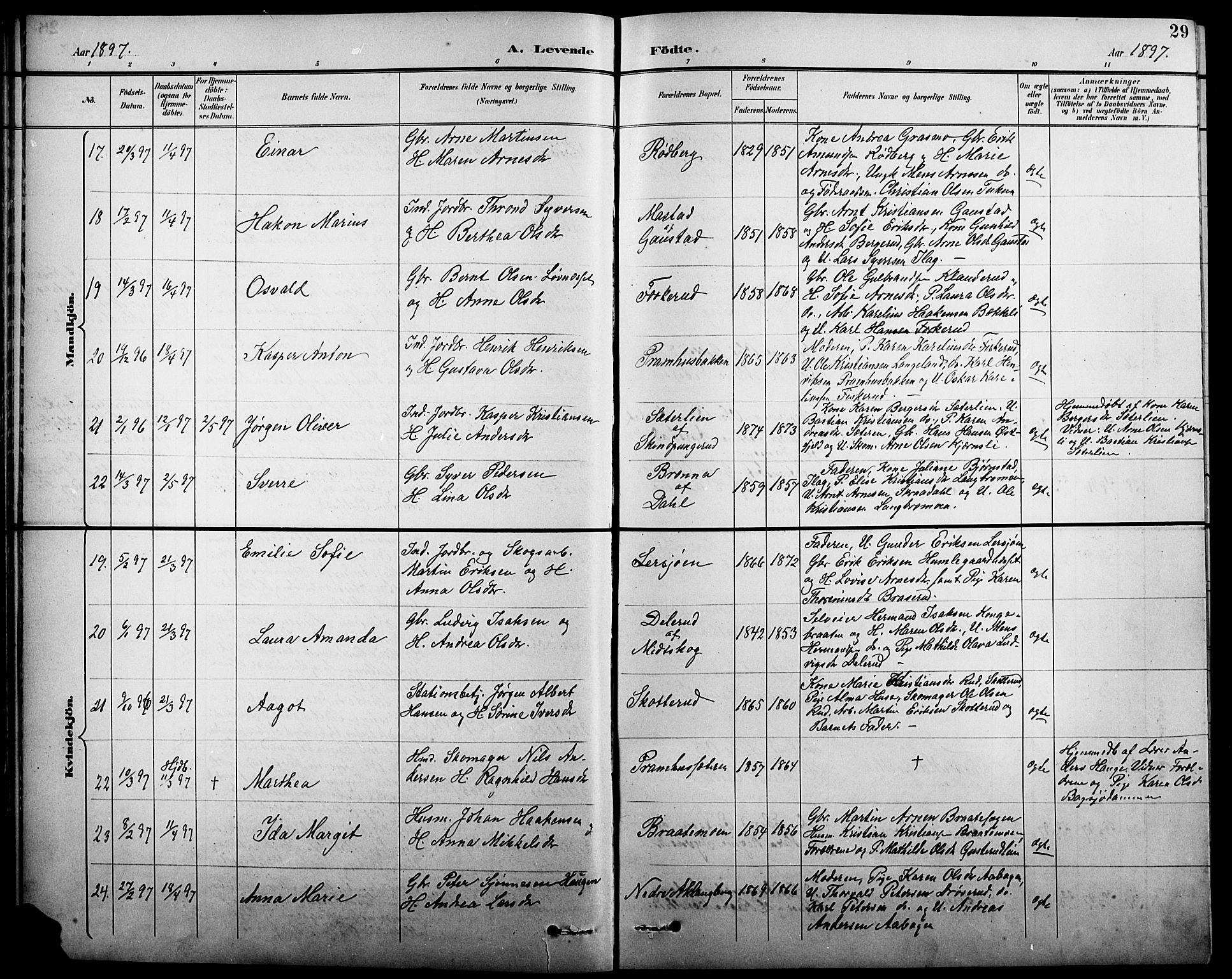 Eidskog prestekontor, AV/SAH-PREST-026/H/Ha/Hab/L0001: Parish register (copy) no. 1, 1895-1917, p. 29