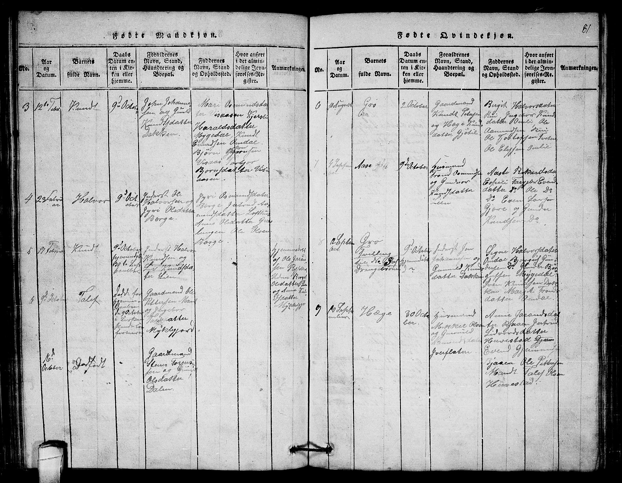 Lårdal kirkebøker, SAKO/A-284/G/Gb/L0001: Parish register (copy) no. II 1, 1815-1865, p. 81
