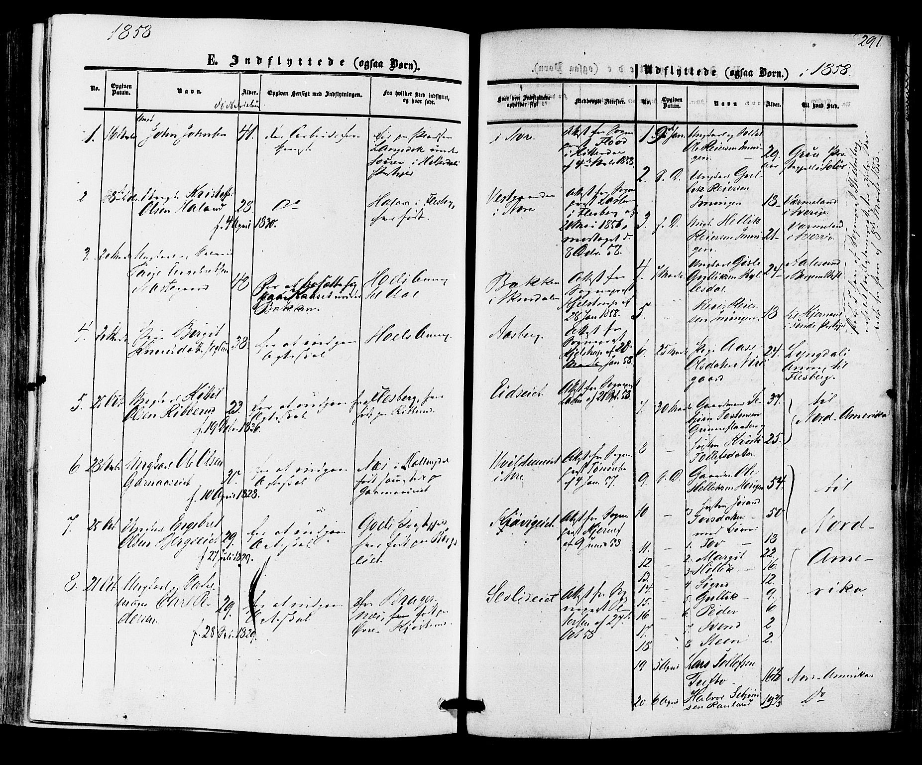 Nore kirkebøker, SAKO/A-238/F/Fa/L0003: Parish register (official) no. I 3, 1858-1866, p. 291