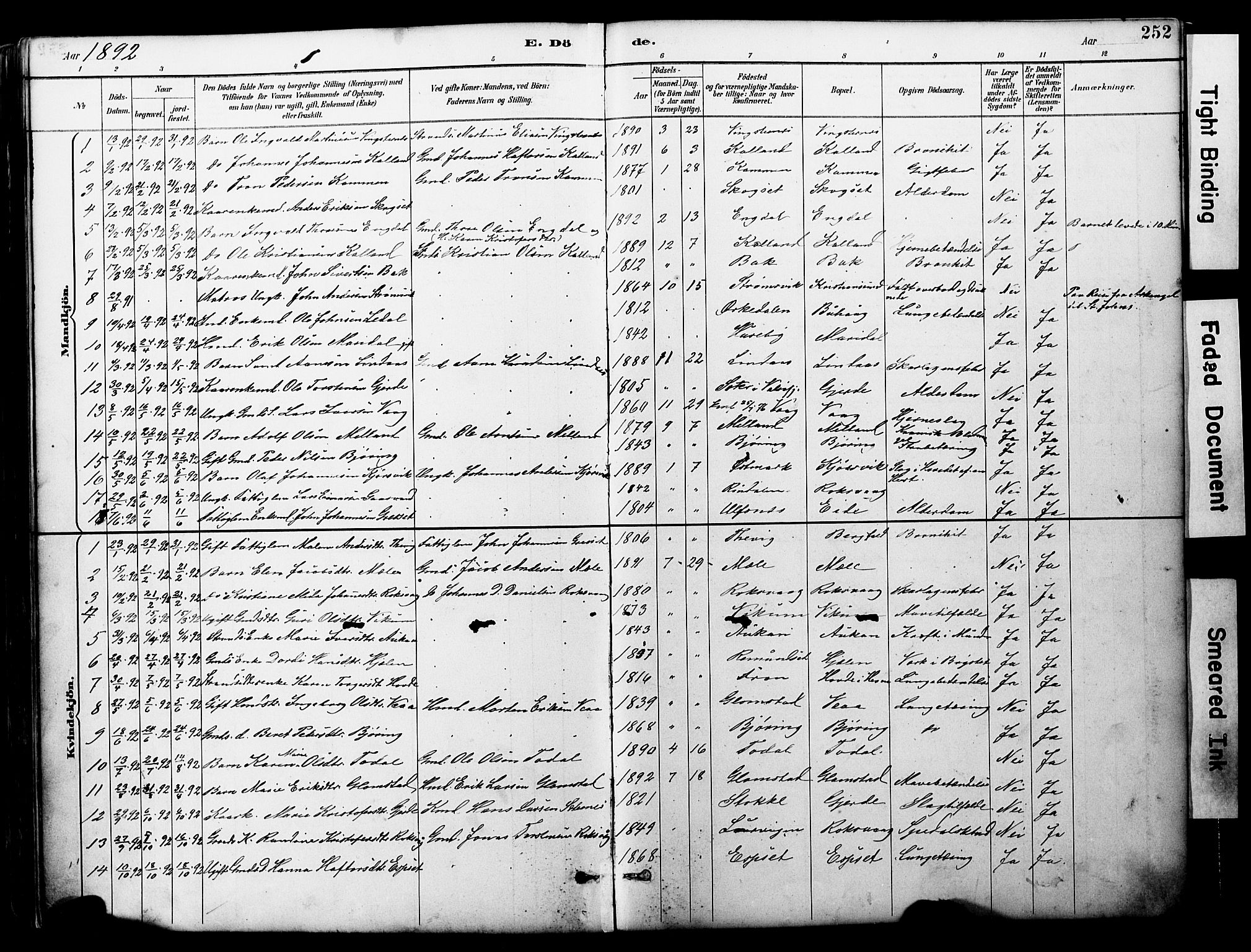 Ministerialprotokoller, klokkerbøker og fødselsregistre - Møre og Romsdal, SAT/A-1454/578/L0907: Parish register (official) no. 578A06, 1887-1904, p. 252