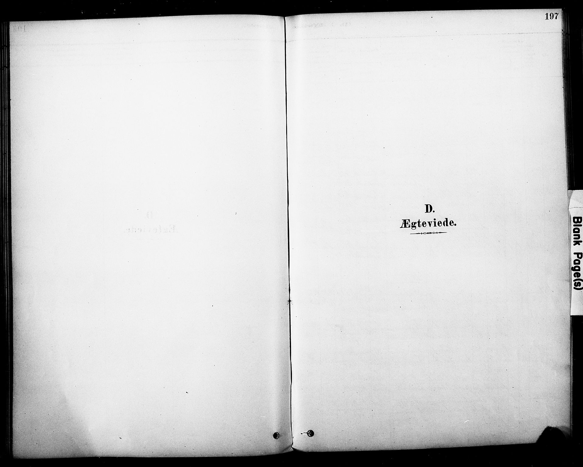 Strømm kirkebøker, AV/SAKO-A-322/F/Fb/L0001: Parish register (official) no. II 1, 1878-1899, p. 197