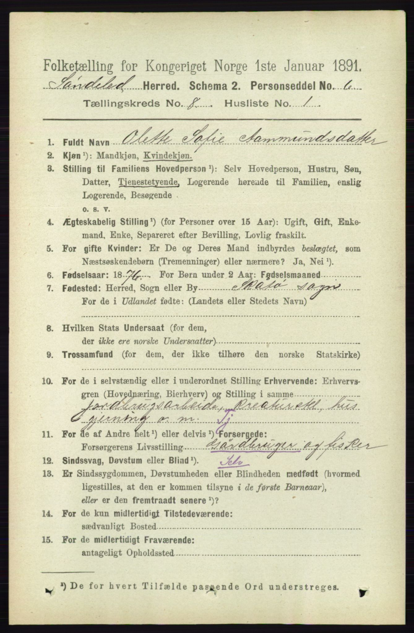 RA, 1891 census for 0913 Søndeled, 1891, p. 2576