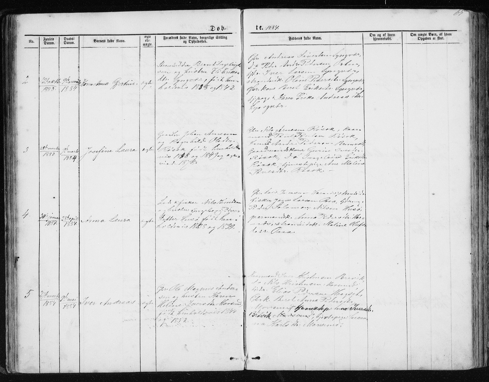 Ministerialprotokoller, klokkerbøker og fødselsregistre - Møre og Romsdal, AV/SAT-A-1454/561/L0732: Parish register (copy) no. 561C02, 1867-1900, p. 65