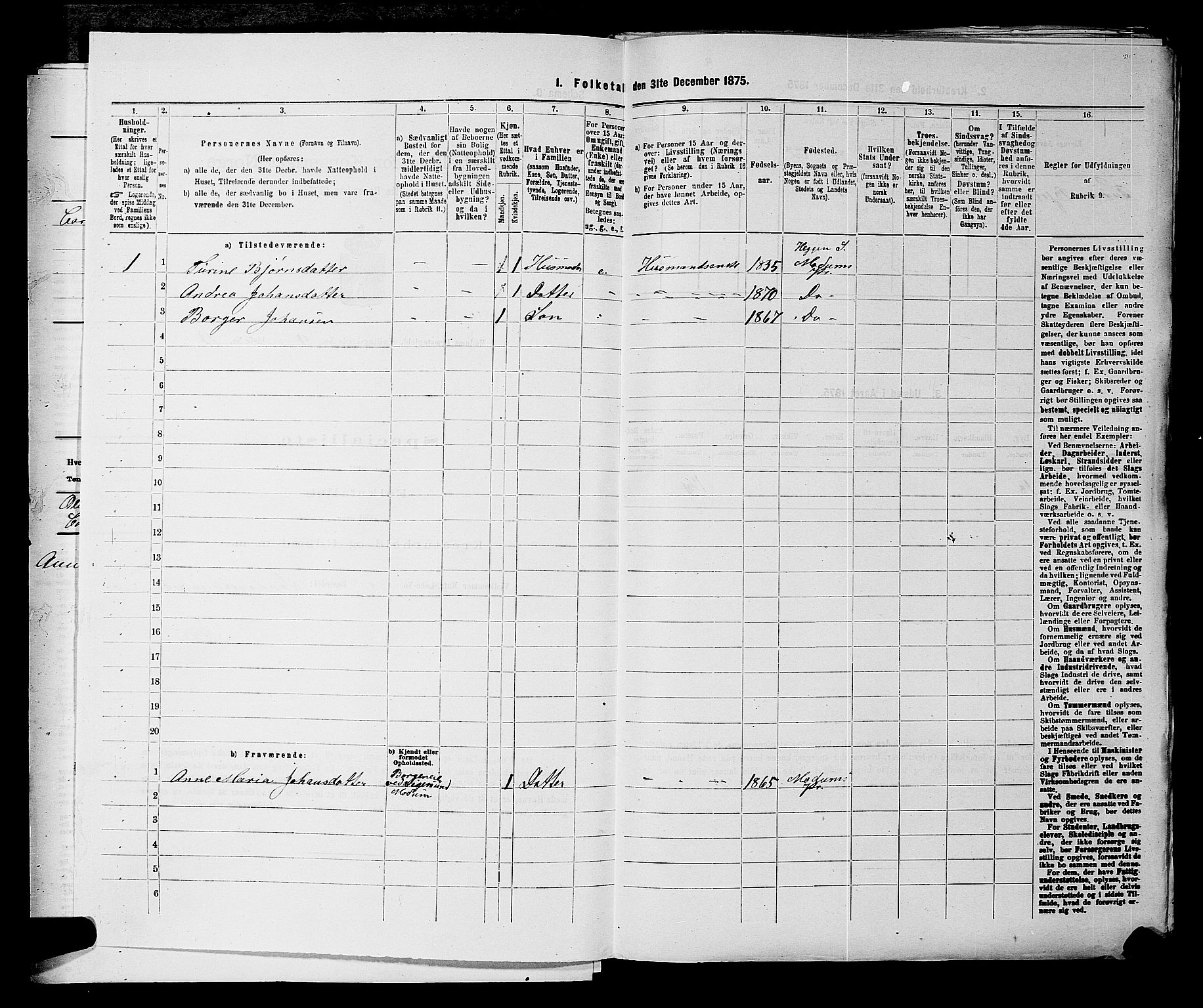 SAKO, 1875 census for 0623P Modum, 1875, p. 1065