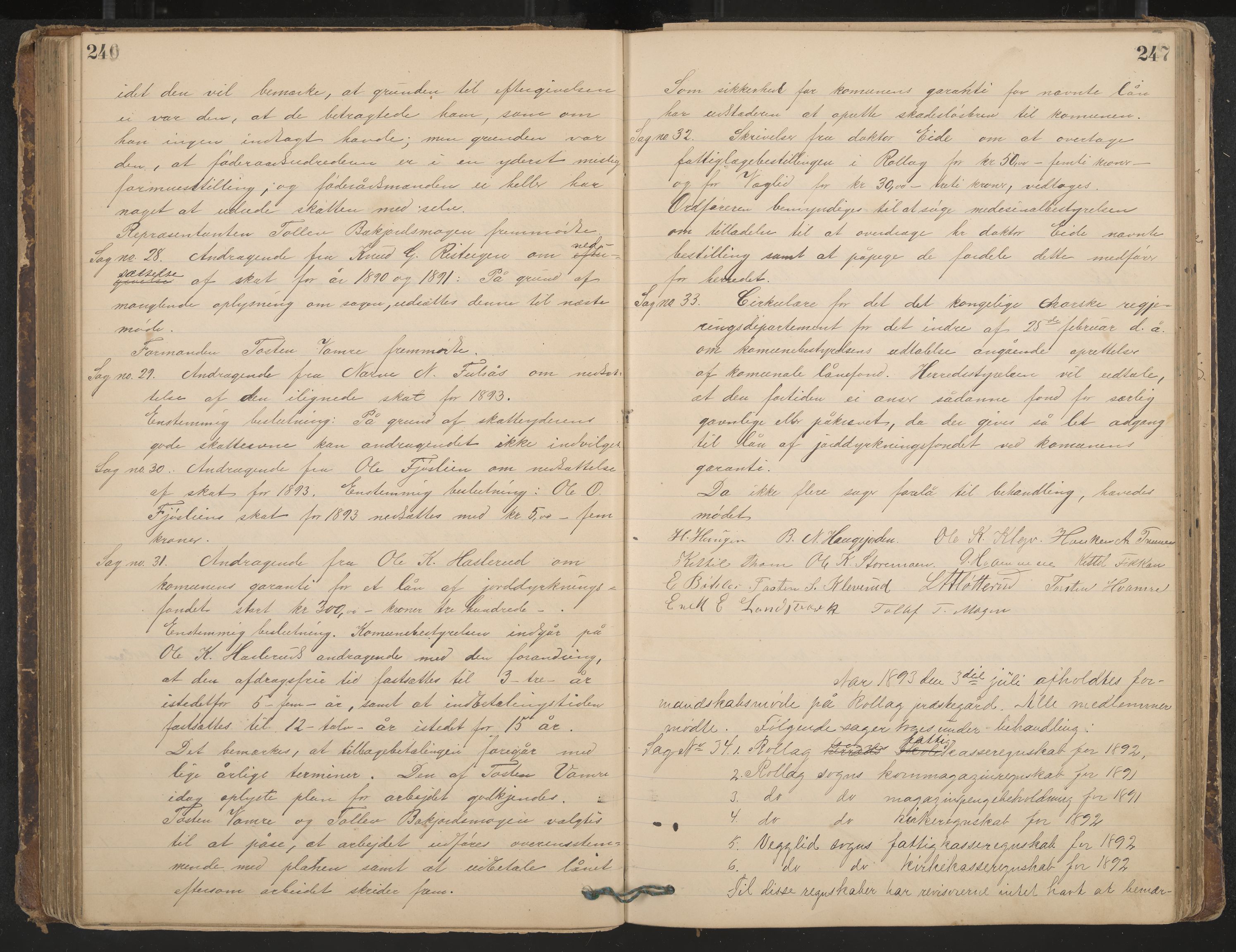 Rollag formannskap og sentraladministrasjon, IKAK/0632021-2/A/Aa/L0003: Møtebok, 1884-1897, p. 246-247