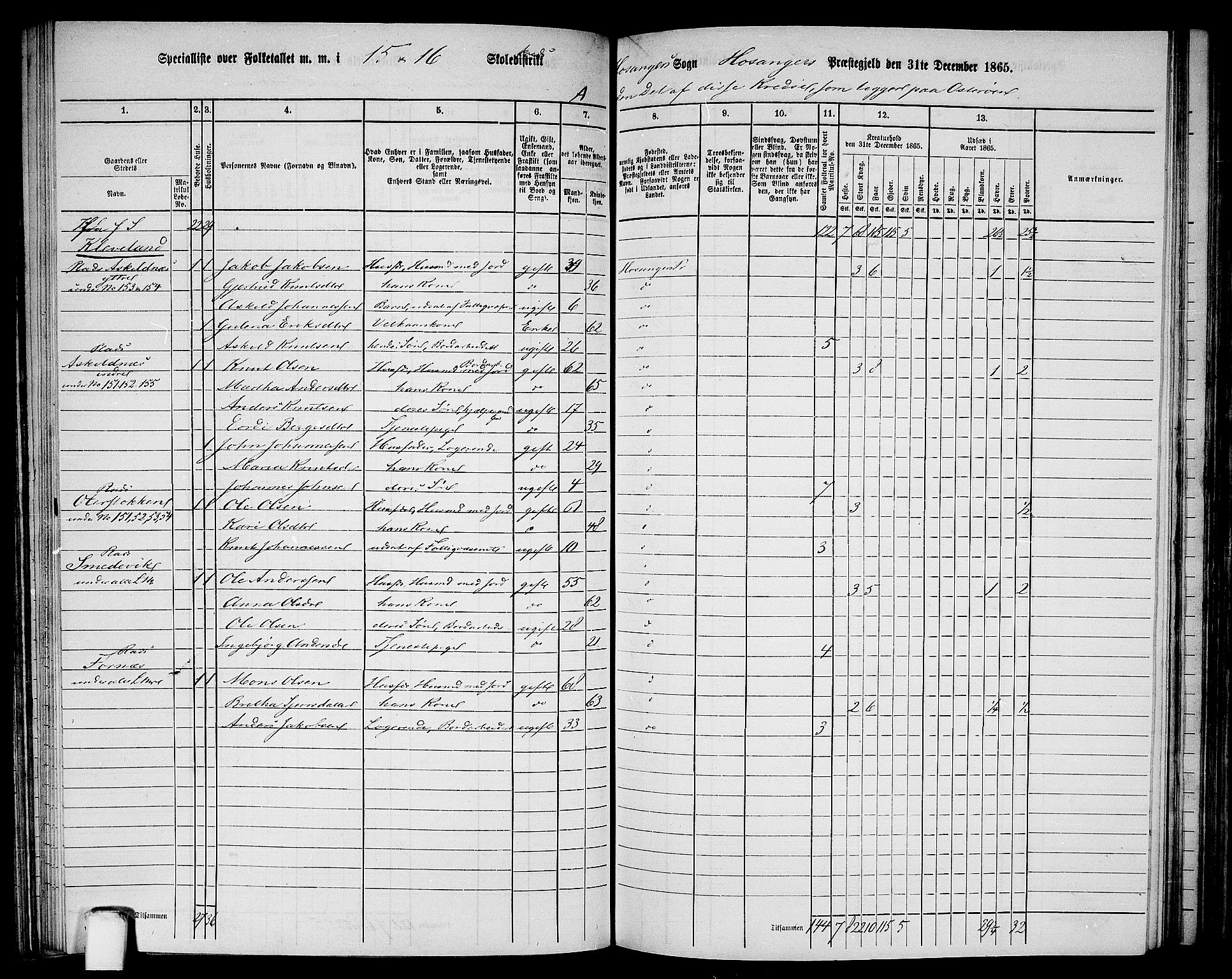 RA, 1865 census for Hosanger, 1865, p. 95