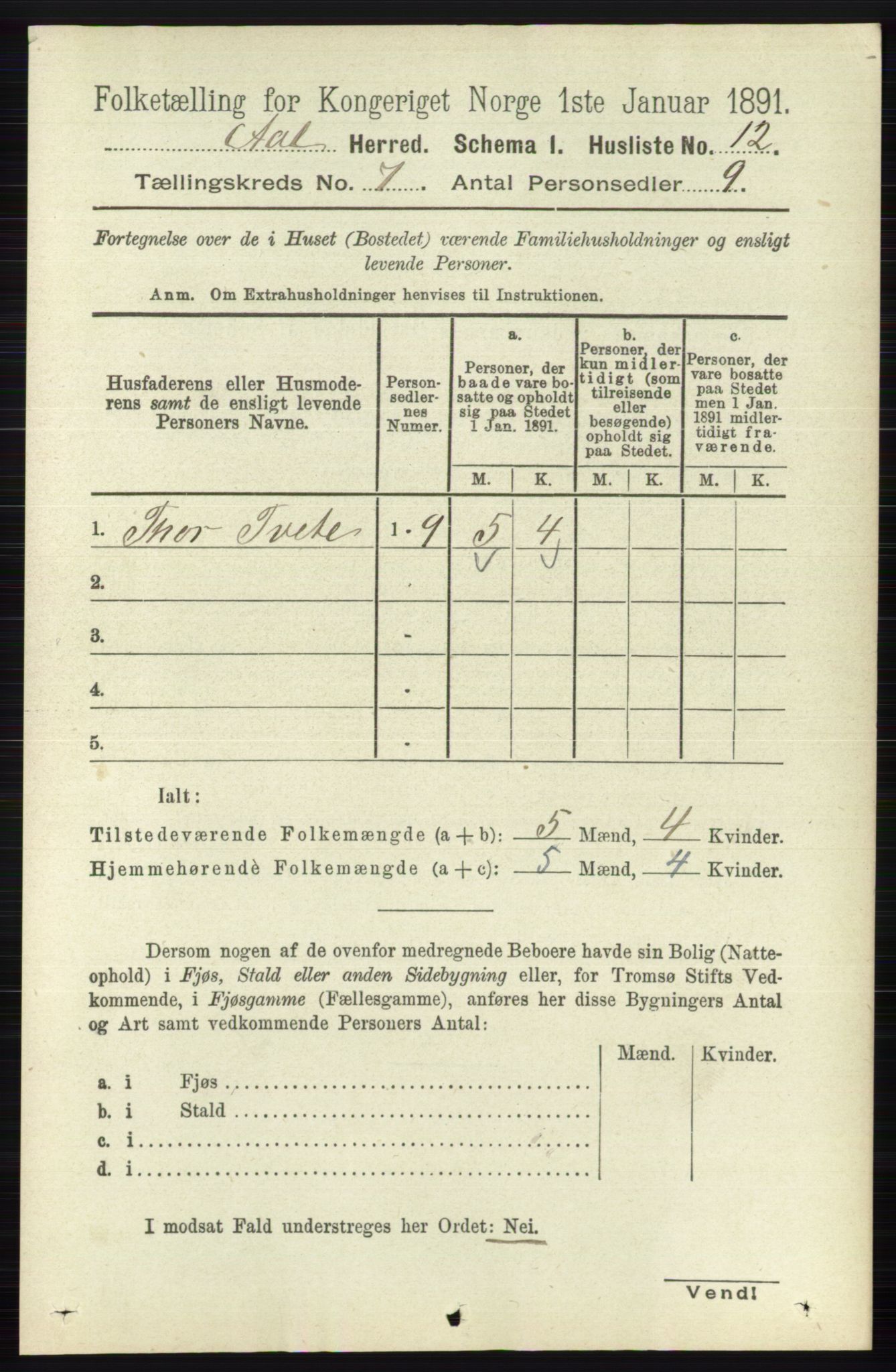 RA, 1891 census for 0619 Ål, 1891, p. 1793