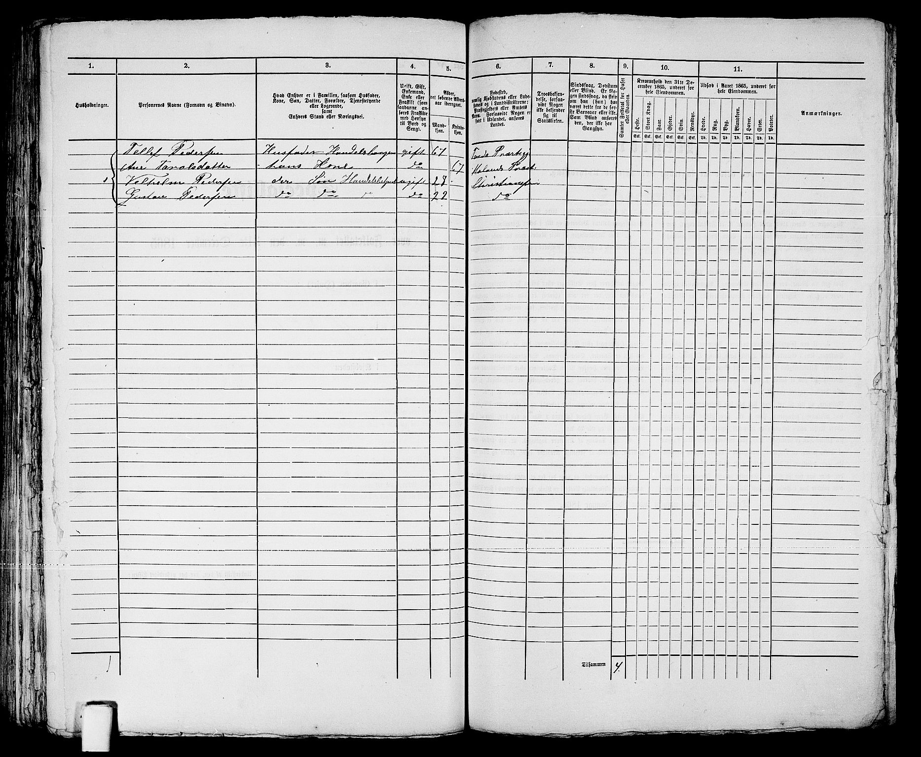 RA, 1865 census for Kristiansand, 1865, p. 1272