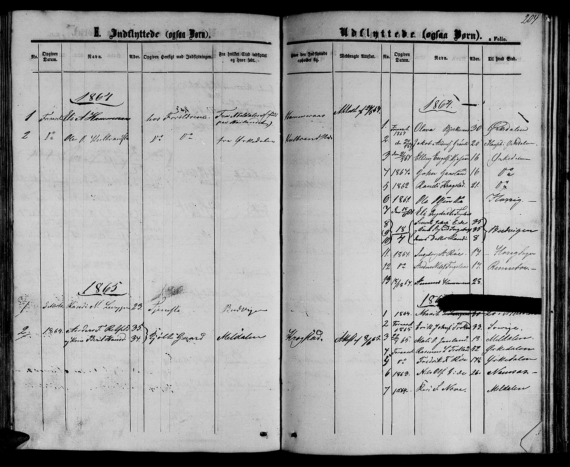 Ministerialprotokoller, klokkerbøker og fødselsregistre - Sør-Trøndelag, SAT/A-1456/694/L1131: Parish register (copy) no. 694C03, 1858-1886, p. 204