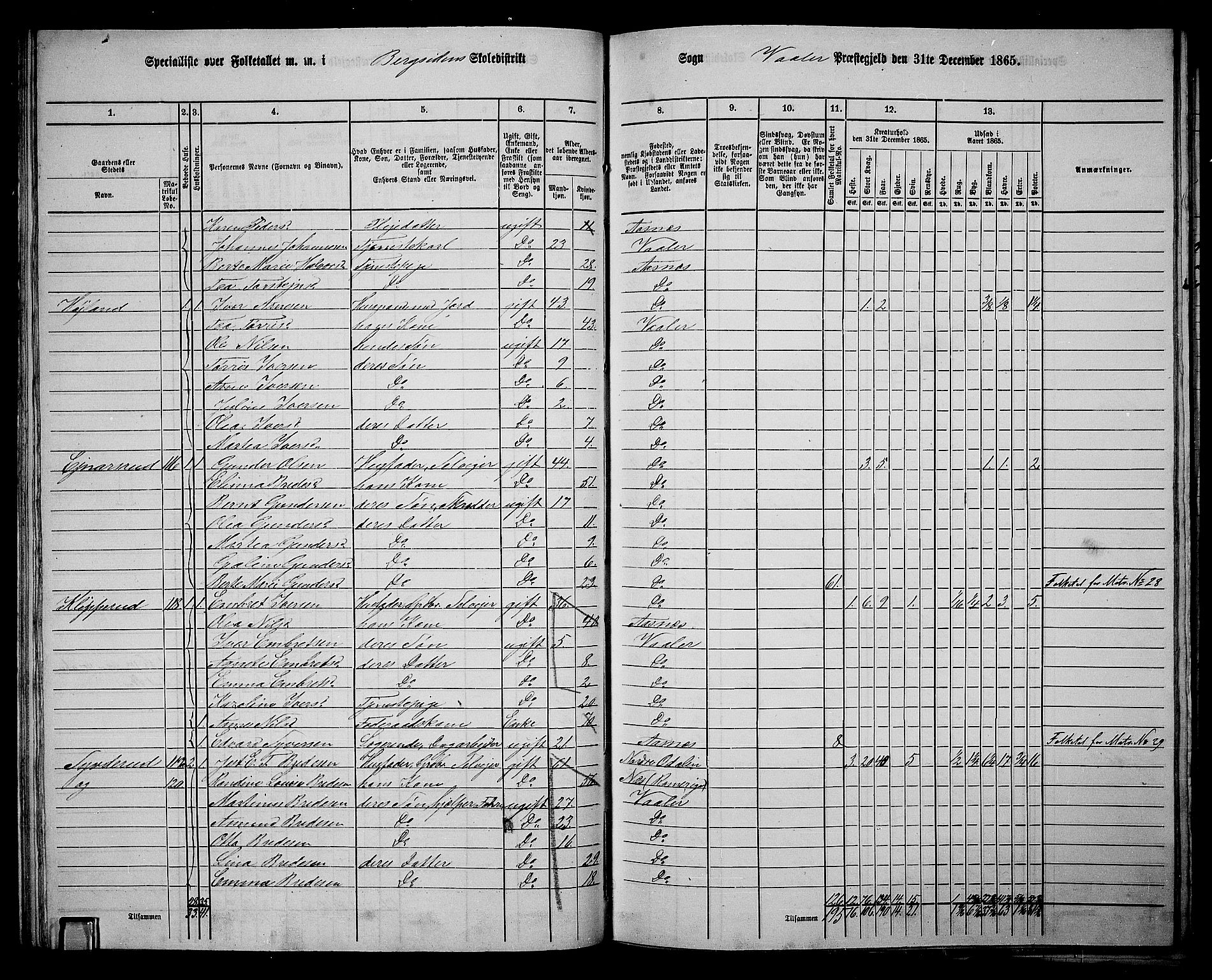 RA, 1865 census for Våler, 1865, p. 56