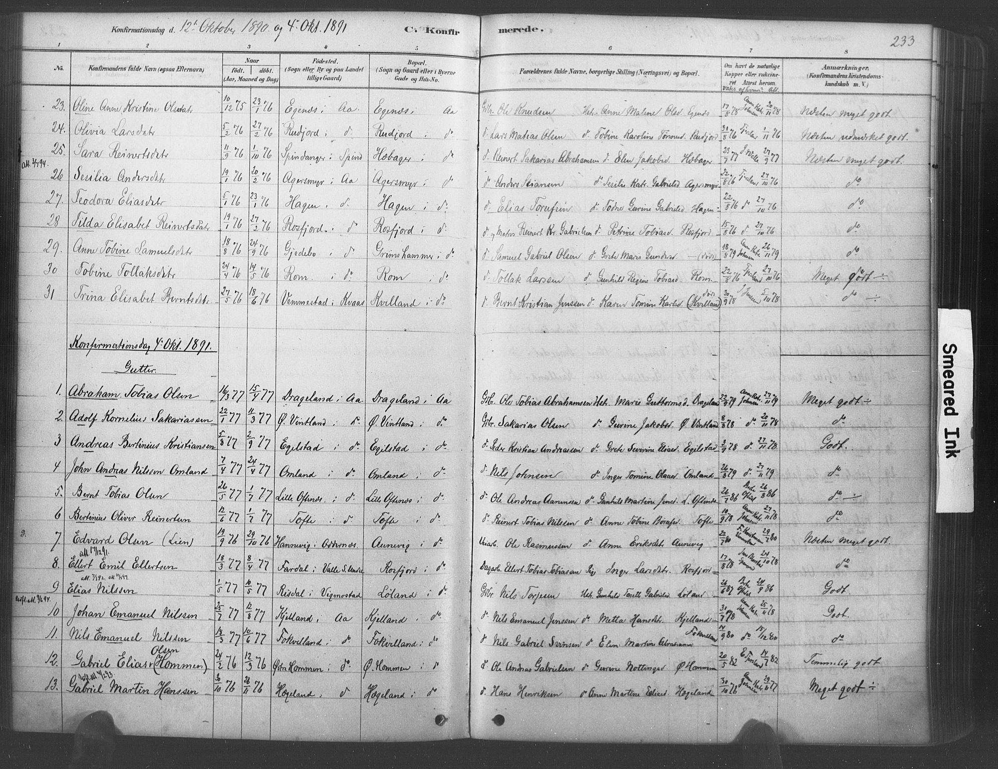 Lyngdal sokneprestkontor, AV/SAK-1111-0029/F/Fa/Fac/L0011: Parish register (official) no. A 11, 1878-1893, p. 233