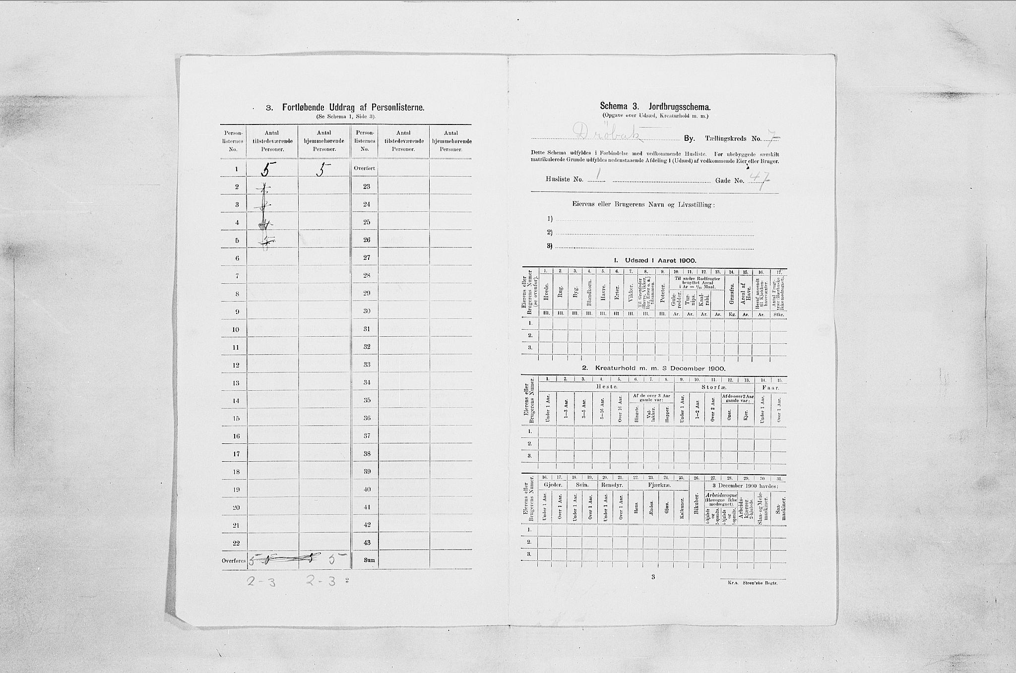 SAO, 1900 census for Drøbak, 1900