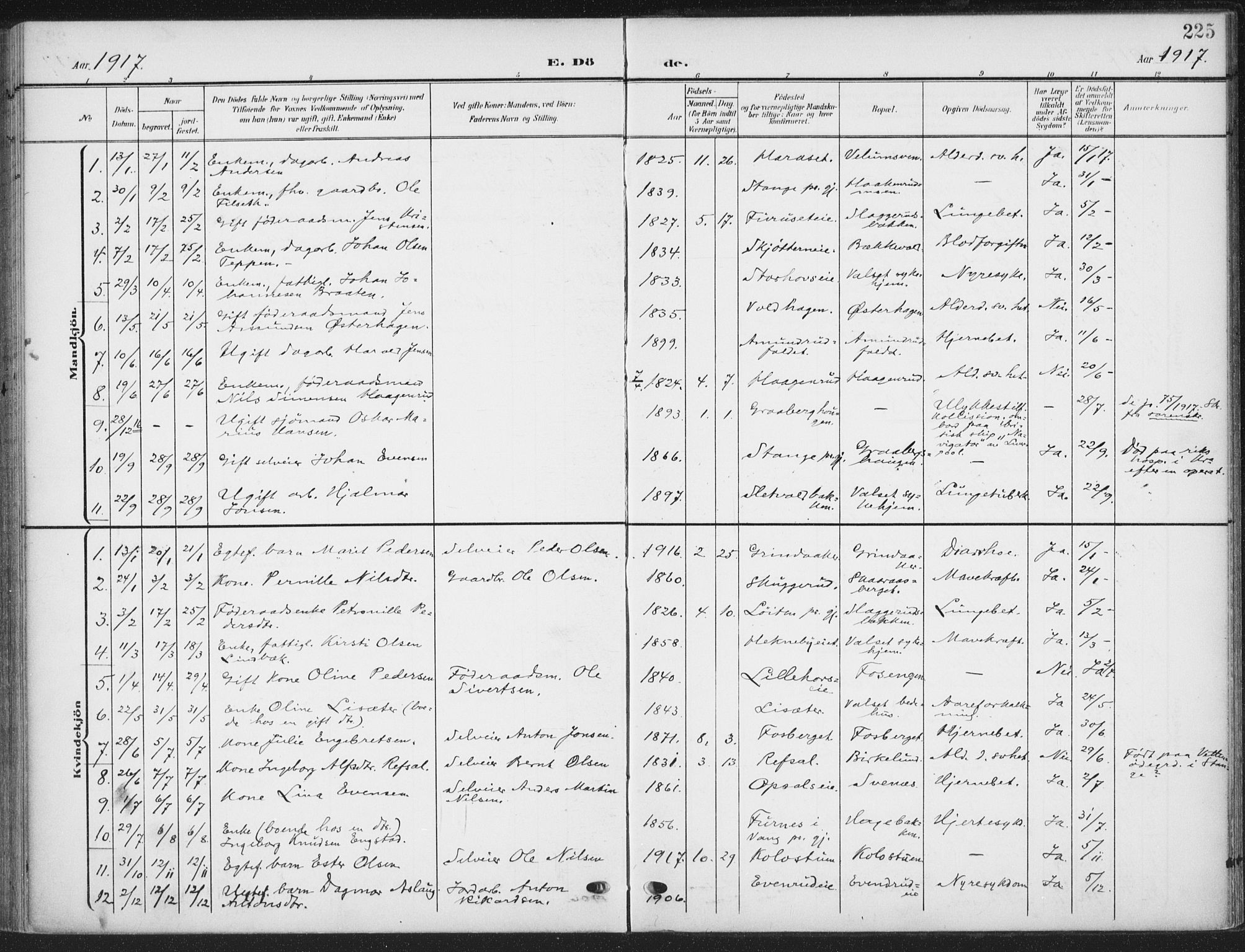 Romedal prestekontor, AV/SAH-PREST-004/K/L0009: Parish register (official) no. 9, 1906-1929, p. 225