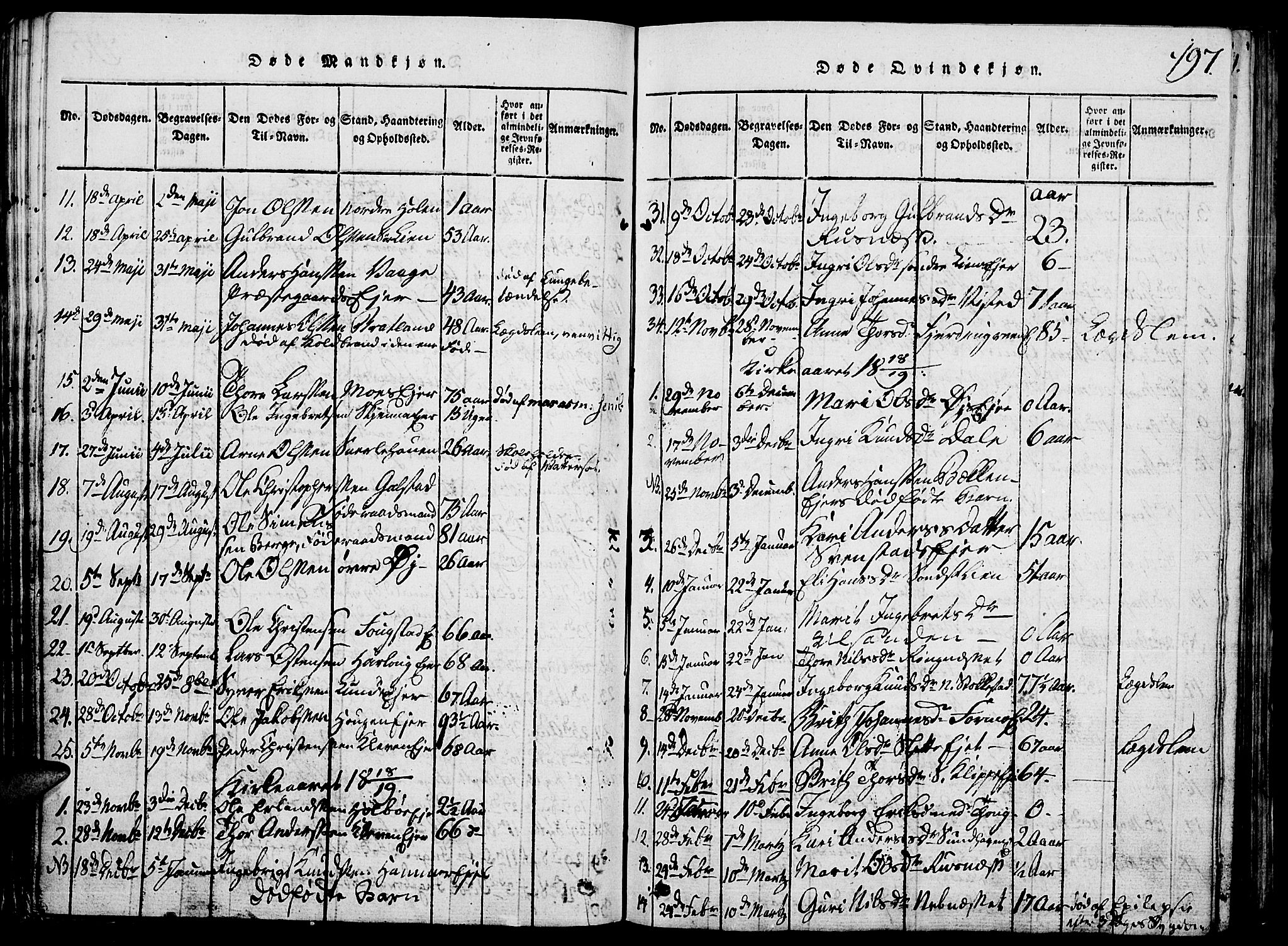Vågå prestekontor, SAH/PREST-076/H/Ha/Hab/L0001: Parish register (copy) no. 1, 1815-1827, p. 196-197