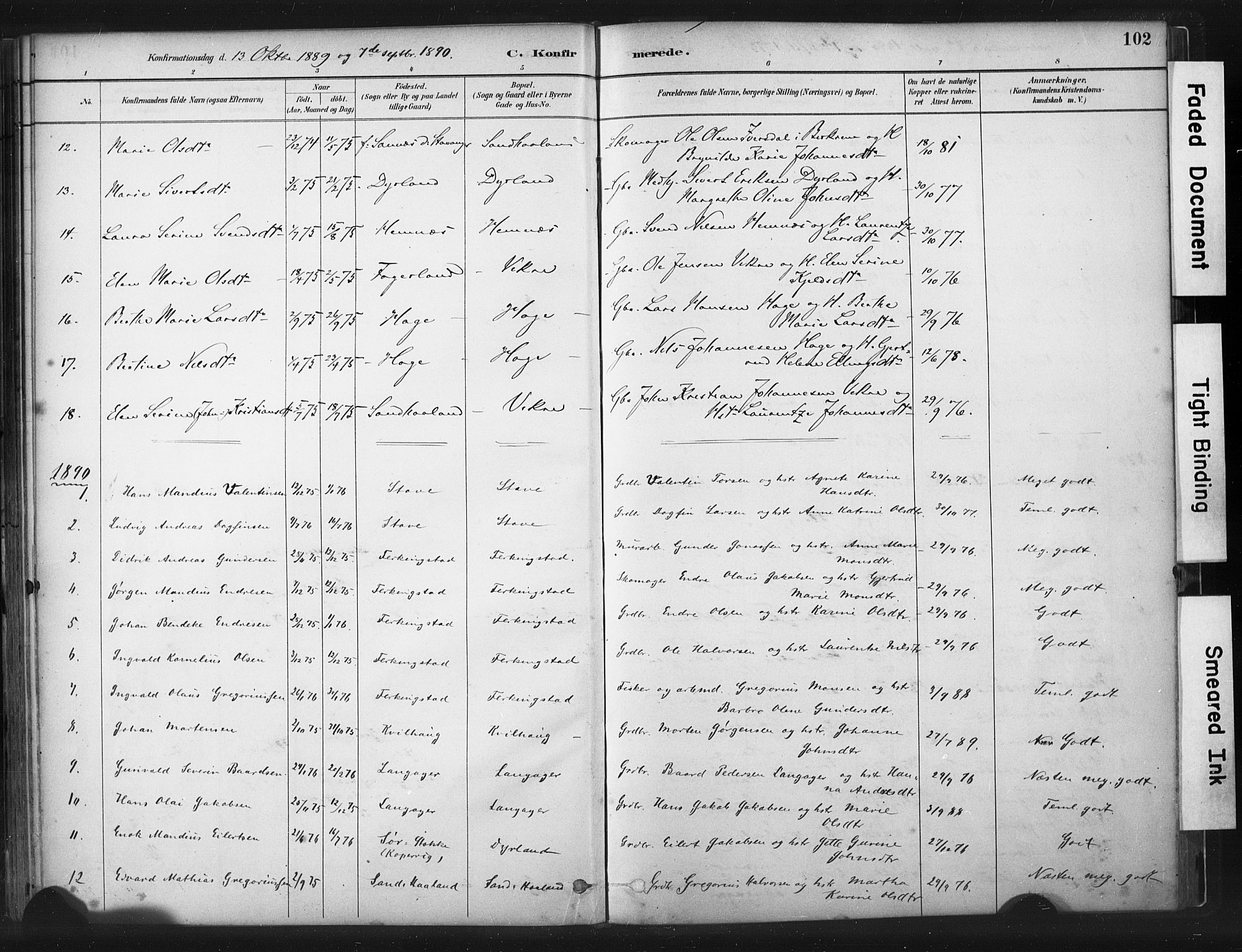Skudenes sokneprestkontor, SAST/A -101849/H/Ha/Haa/L0010: Parish register (official) no. A 7, 1882-1912, p. 102